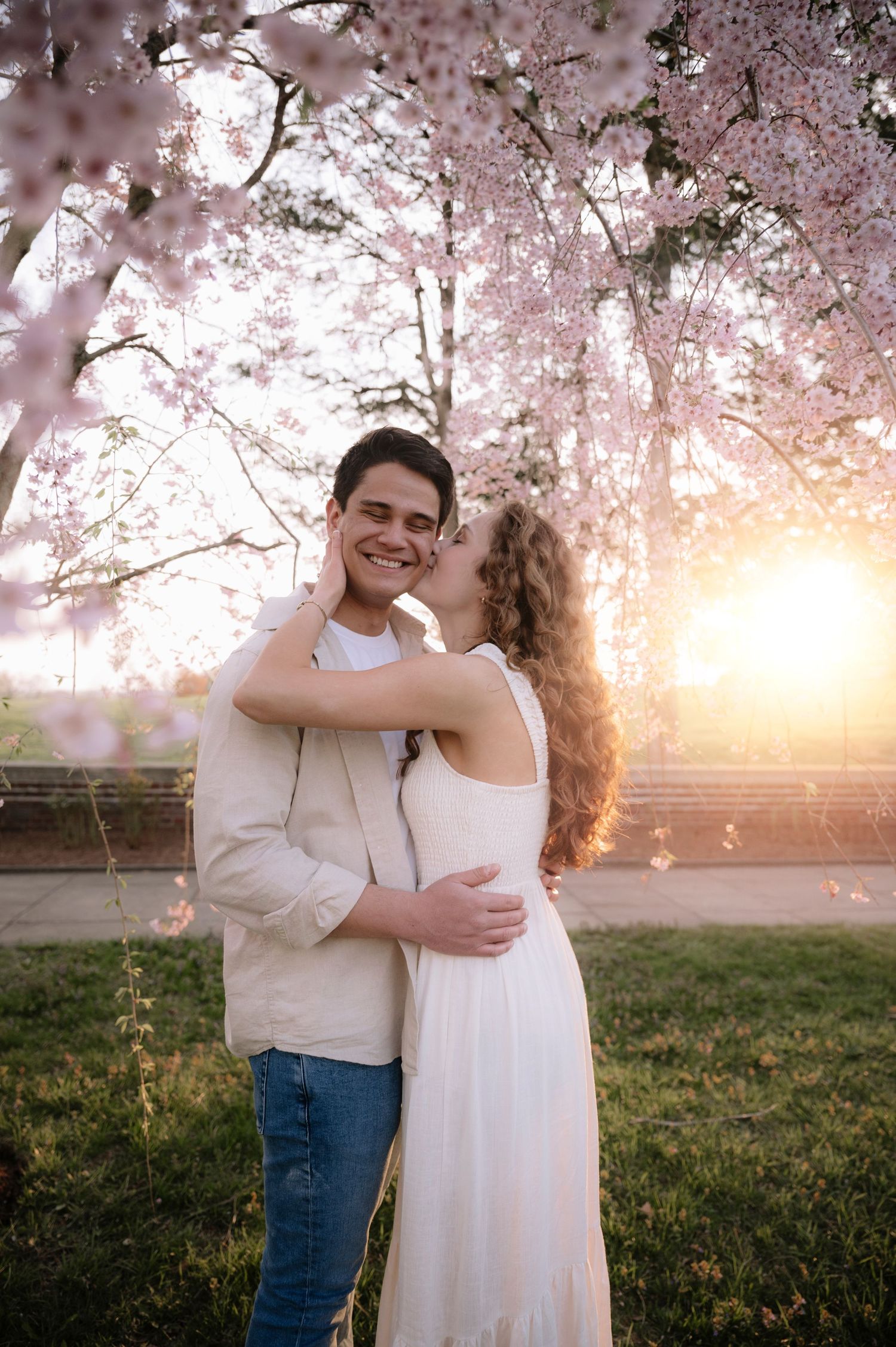 A tender embrace under pink cherry blossoms with golden sunlight filtering through the branches.