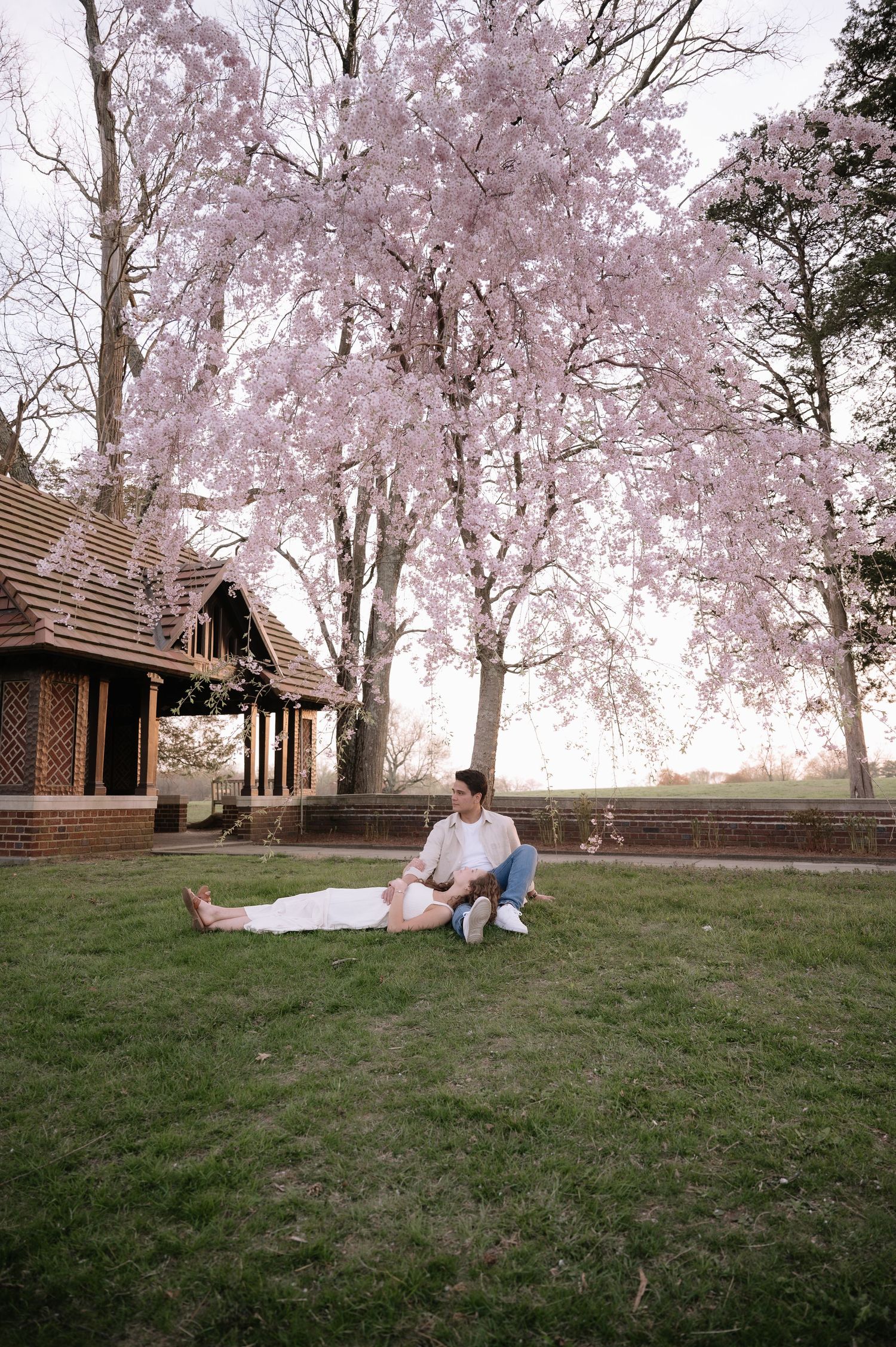 A couple relaxing on grass beneath pink cherry blossom trees near a rustic cabin.