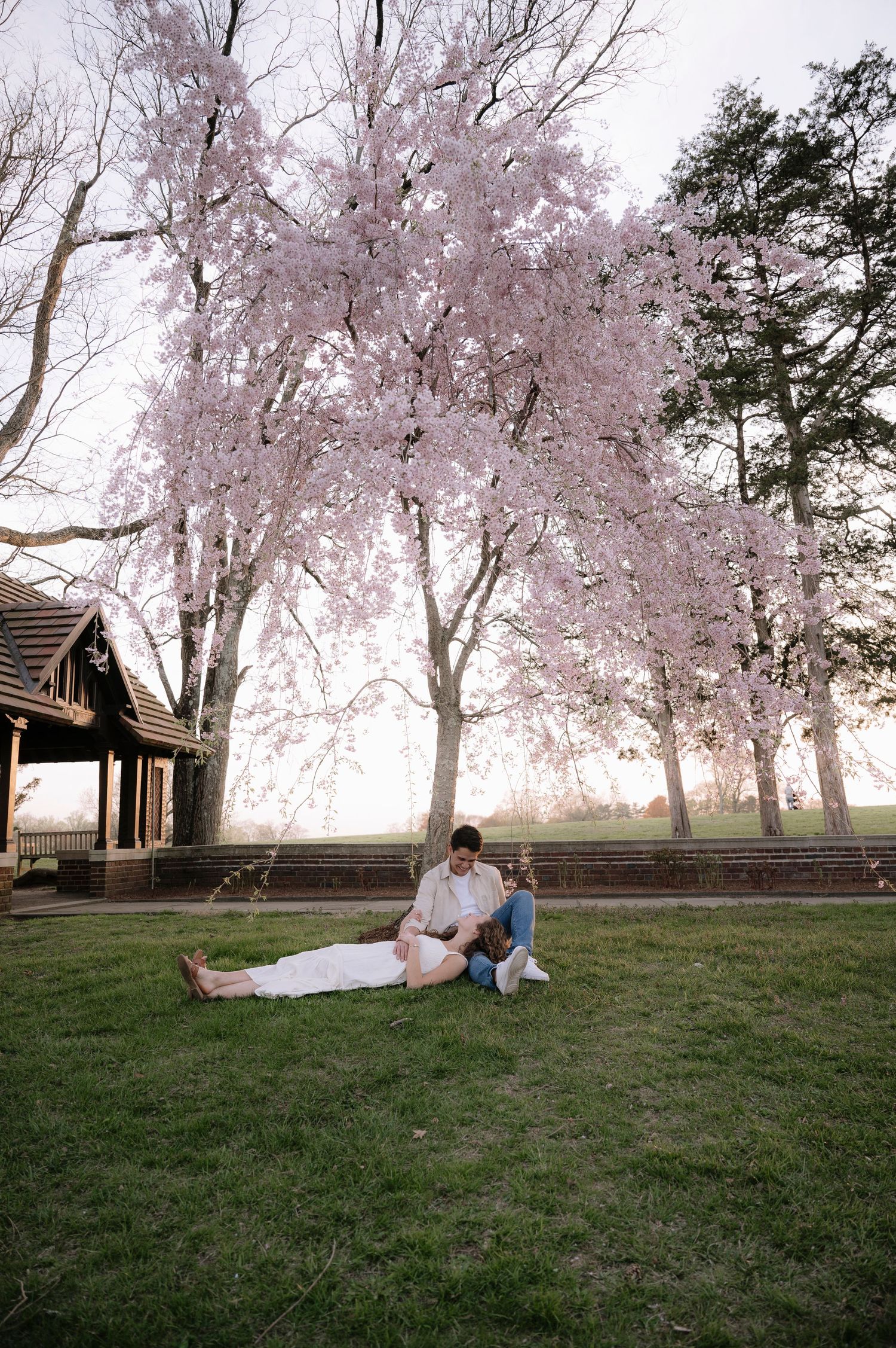 Couple relaxing on grass beneath pink cherry blossom trees next to a wooden gazebo.