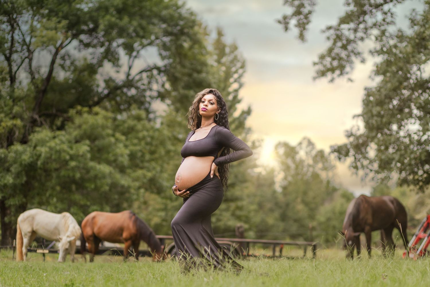 A maternity photoshoot in a field with grazing horses at sunset.