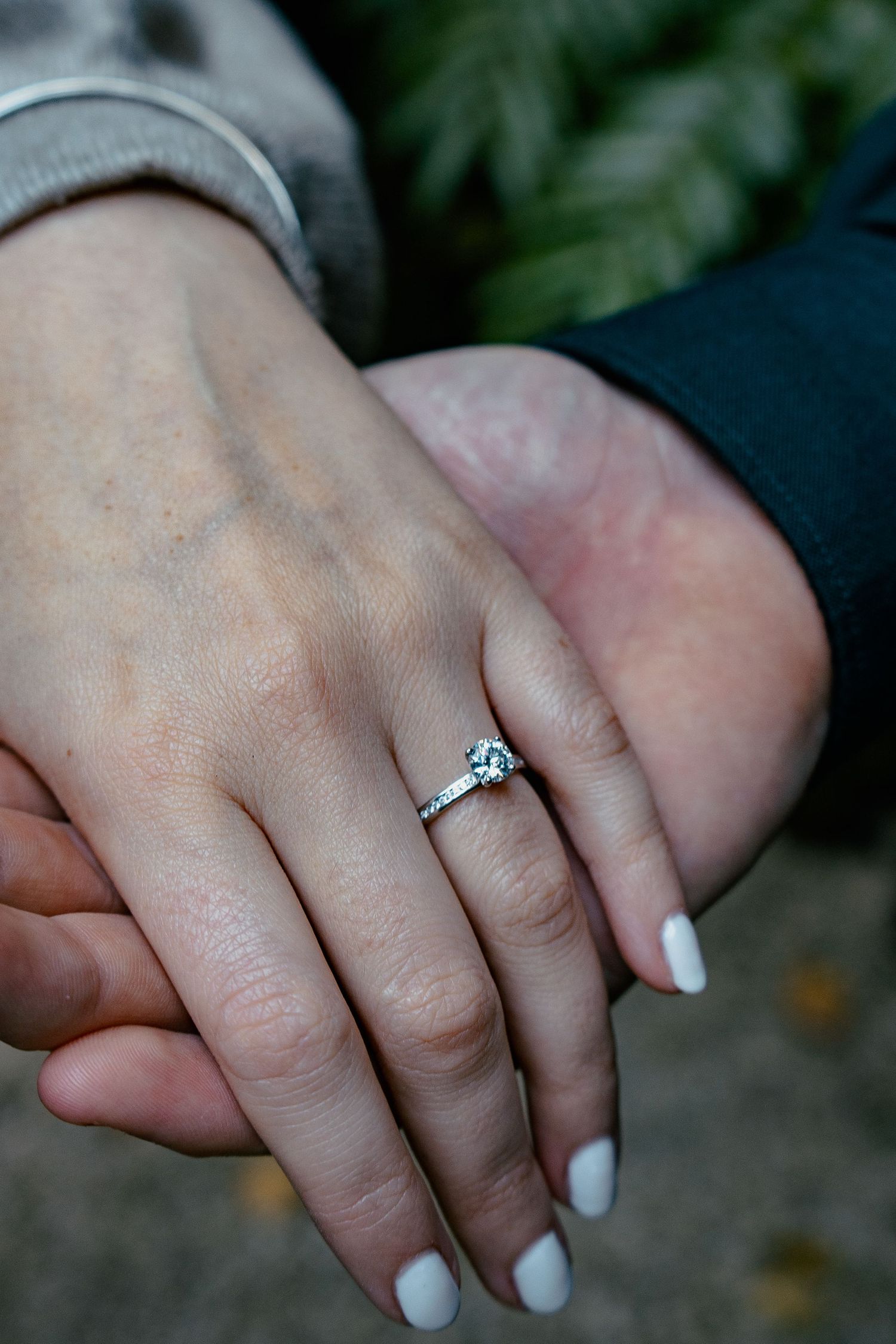 A romantic engagement shoot at the Fernery at Auckland Wintergardens by YM Photography.