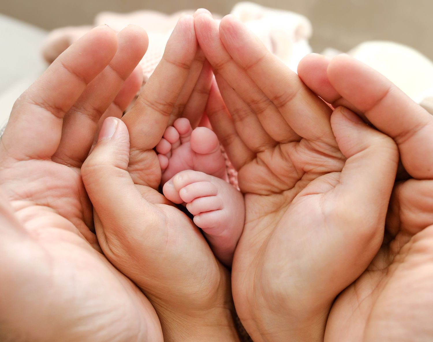 Tiny newborn baby feet cradled gently in adult hands. newborn photographer Toronto, majestystudios, greater toronto area, family, GTA, Nadia
