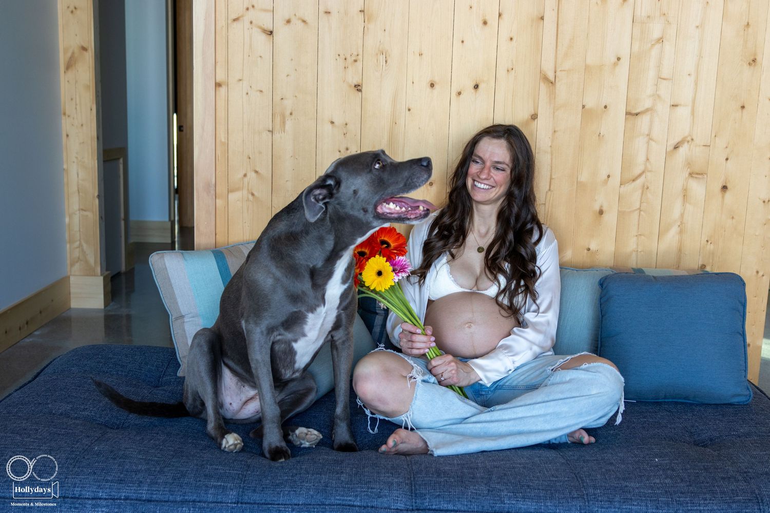 A large gray dog sits on a blue couch next to an expectant mother holding a colorful bouquet in a wood-paneled room. Maternity photography