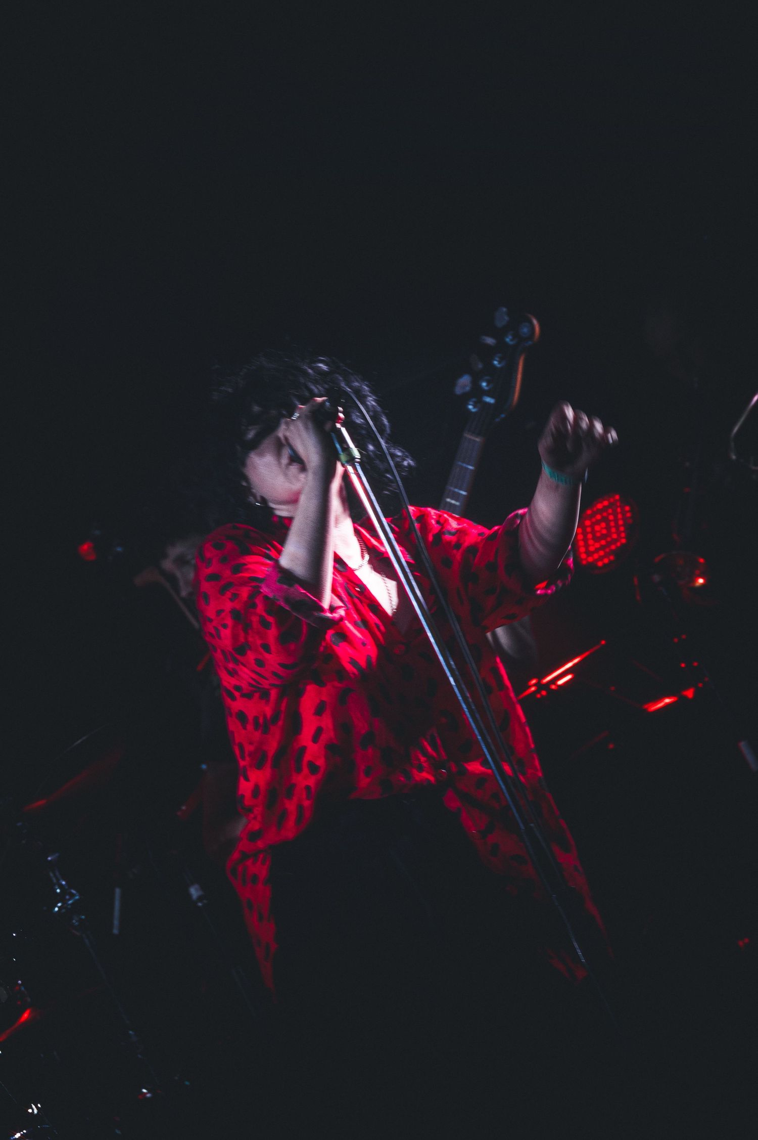Singer in red leopard print outfit performing on dark stage with microphone stand.