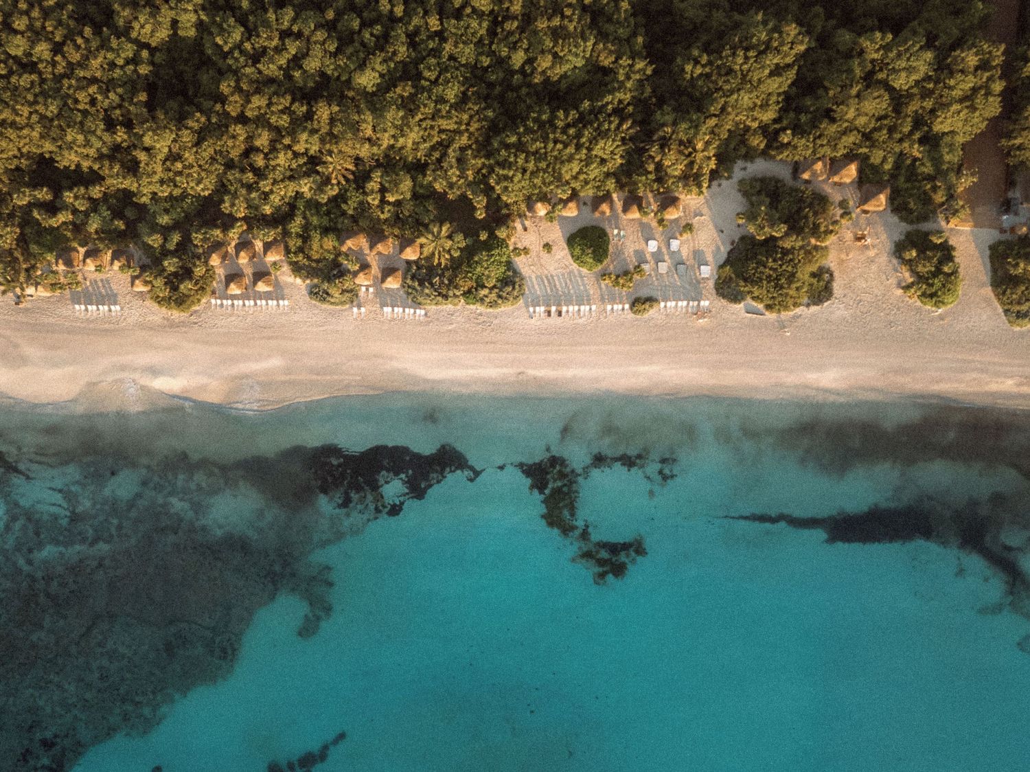Aerial view of a pristine beach with turquoise waters and lush green trees along the coastline.