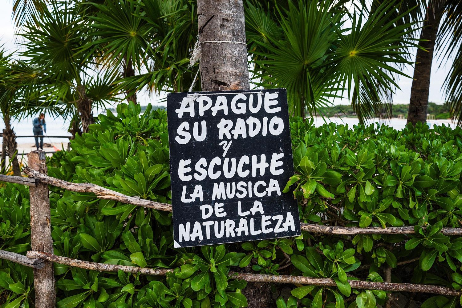 Black and white signs with Spanish text hang between palm trees in a tropical outdoor setting.