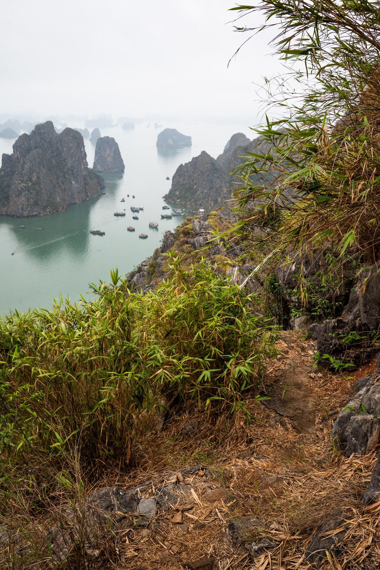 Hiking trail overlooks limestone karsts and fishing boats in misty Ha Long Bay, Vietnam's emerald waters below.