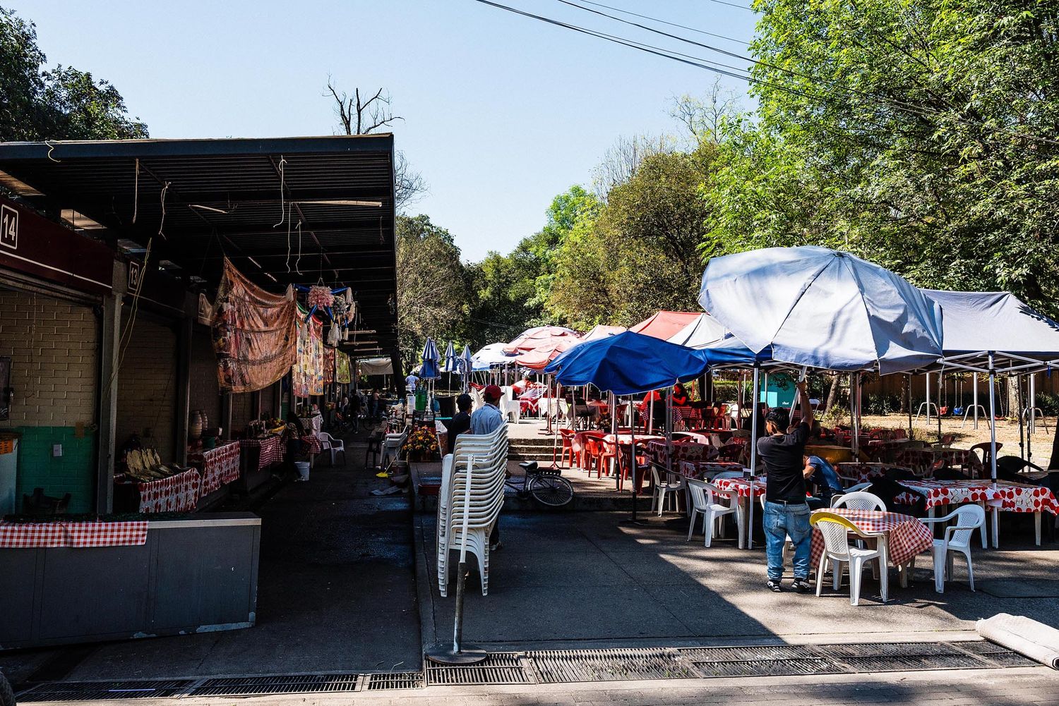 Outdoor market street with vendor stalls and blue umbrellas set up along a tree-lined path on a sunny day.