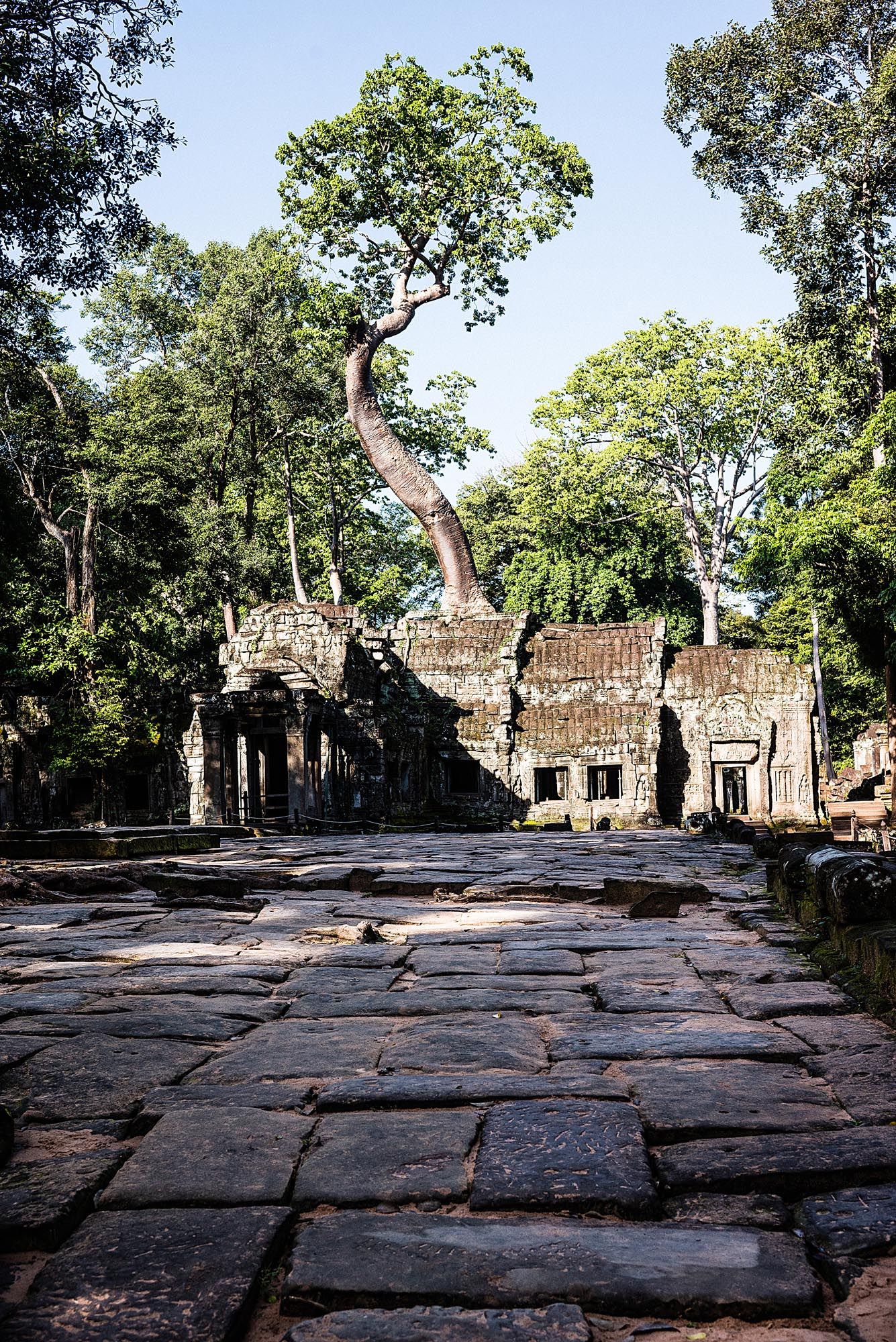Ancient stone walkway leads to weathered temple ruins at Angkor Wat with lush green trees framing the historic site.