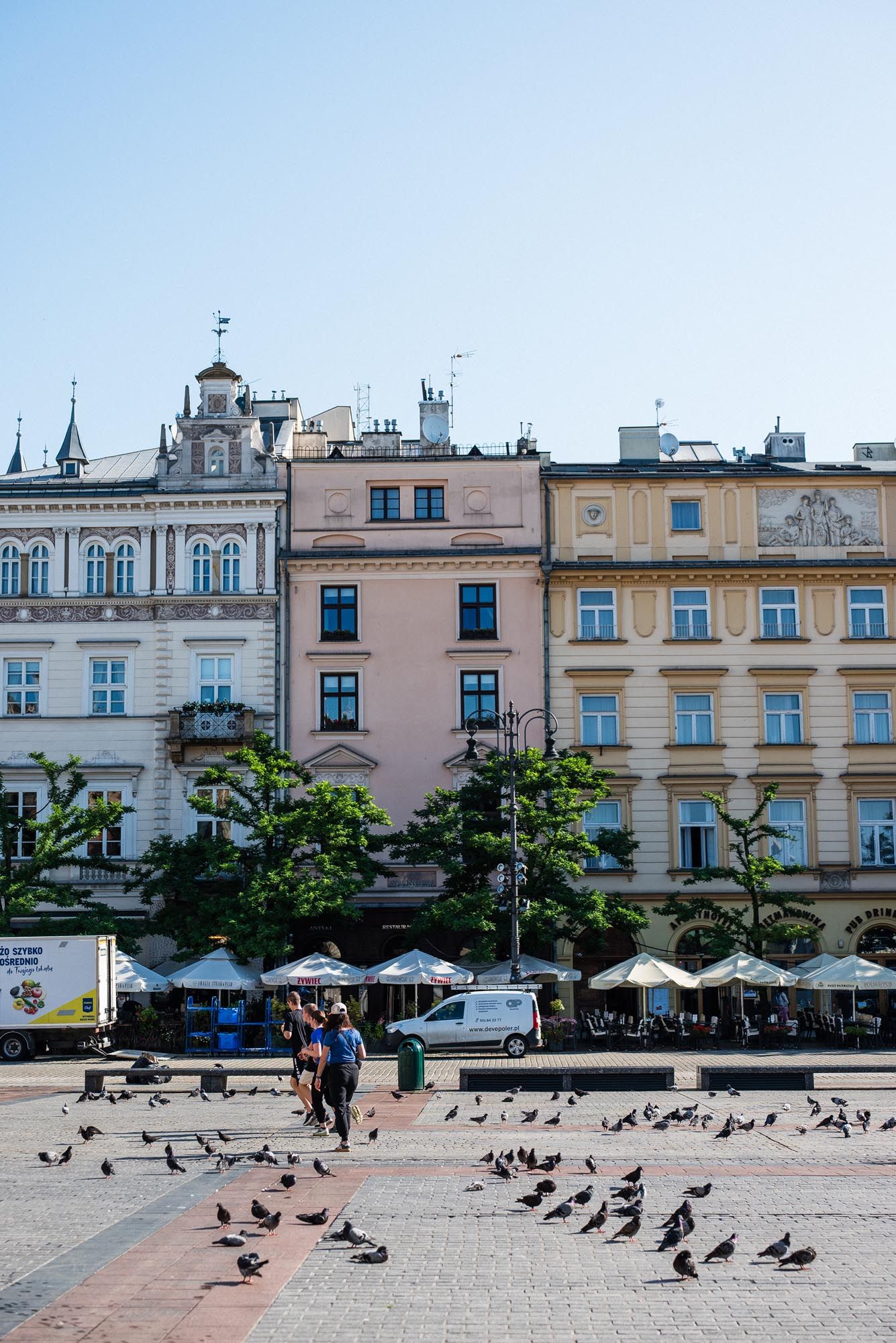 Pigeons gather in a historic town square surrounded by classical European architecture with pink-hued buildings.