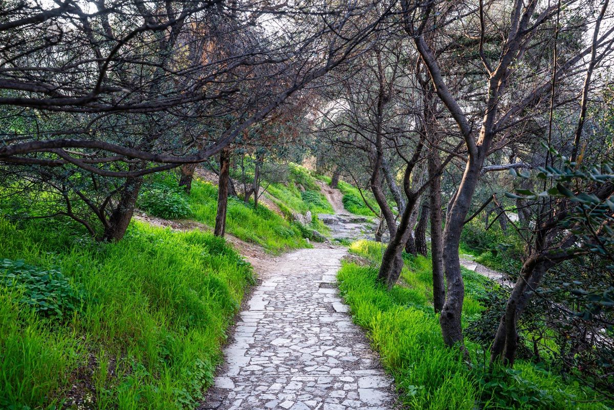 A winding stone path leads through lush green grass and bare trees in a tranquil park setting.