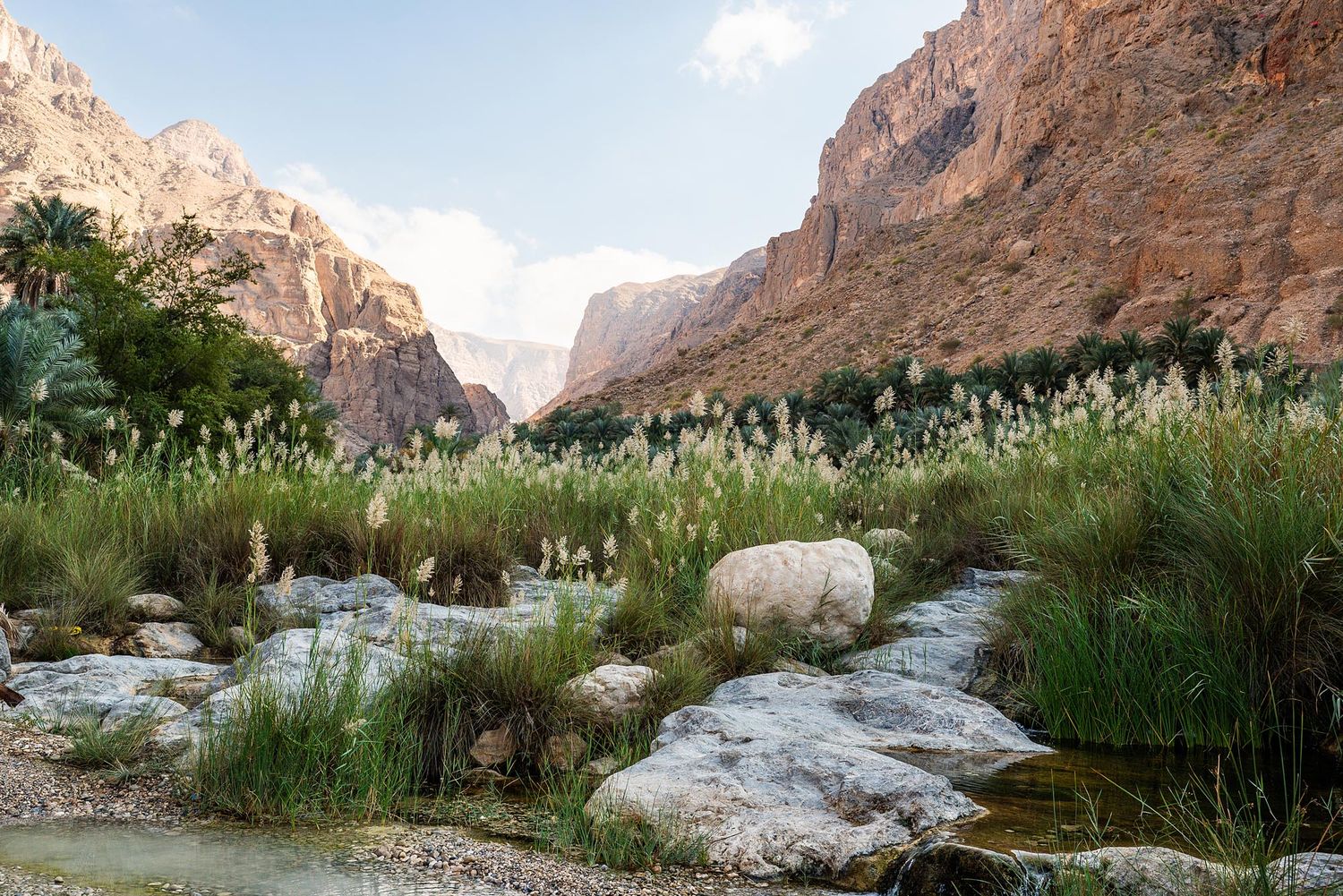 Scenic desert canyon landscape with green vegetation growing along a rocky stream bed in arid terrain. Wadi Al Arbeieen