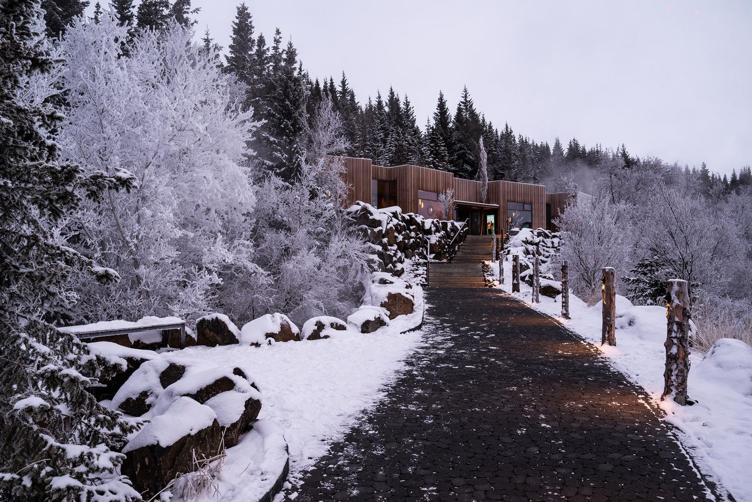 A snowy winter trail winds through a forest of evergreen trees covered in fresh white powder.