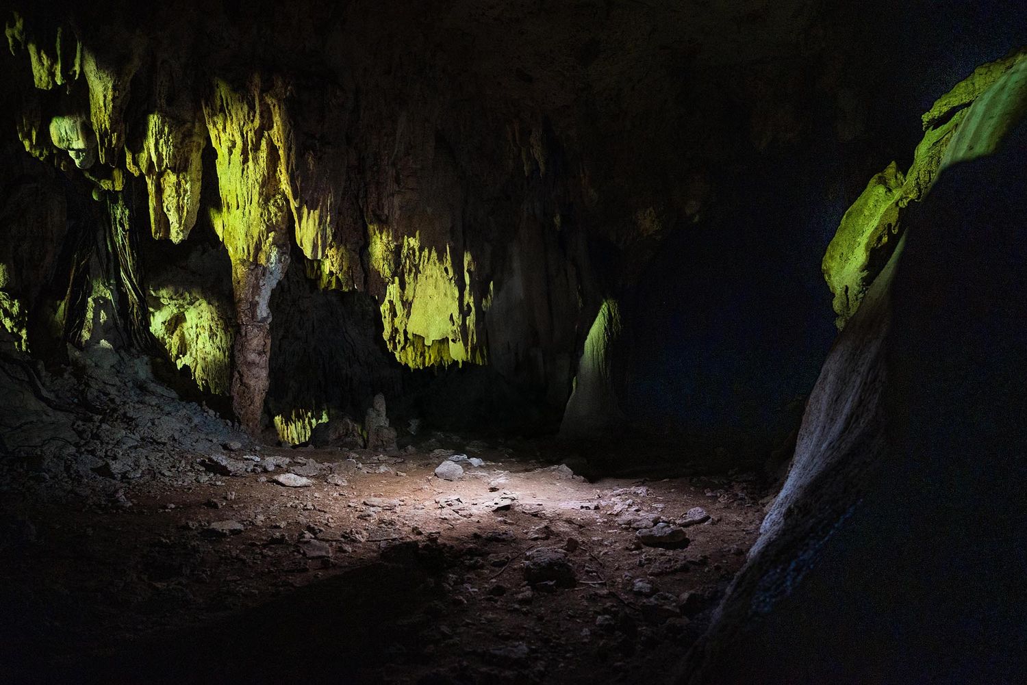 A dark cave interior illuminated by spotlights revealing mossy rock formations and a narrow dirt path.