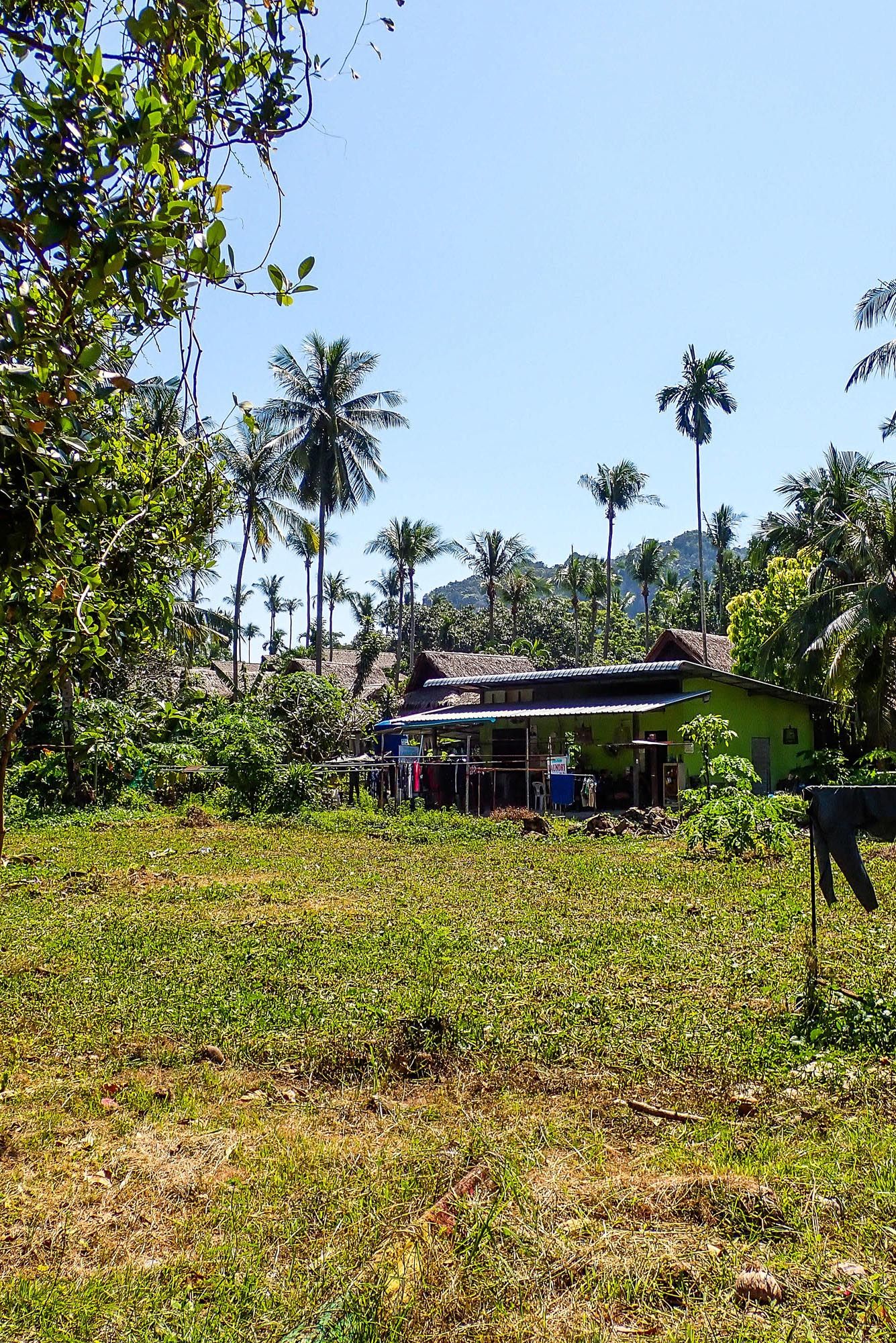 Rural house with tin roof surrounded by palm trees and tropical vegetation in a sunny countryside setting.