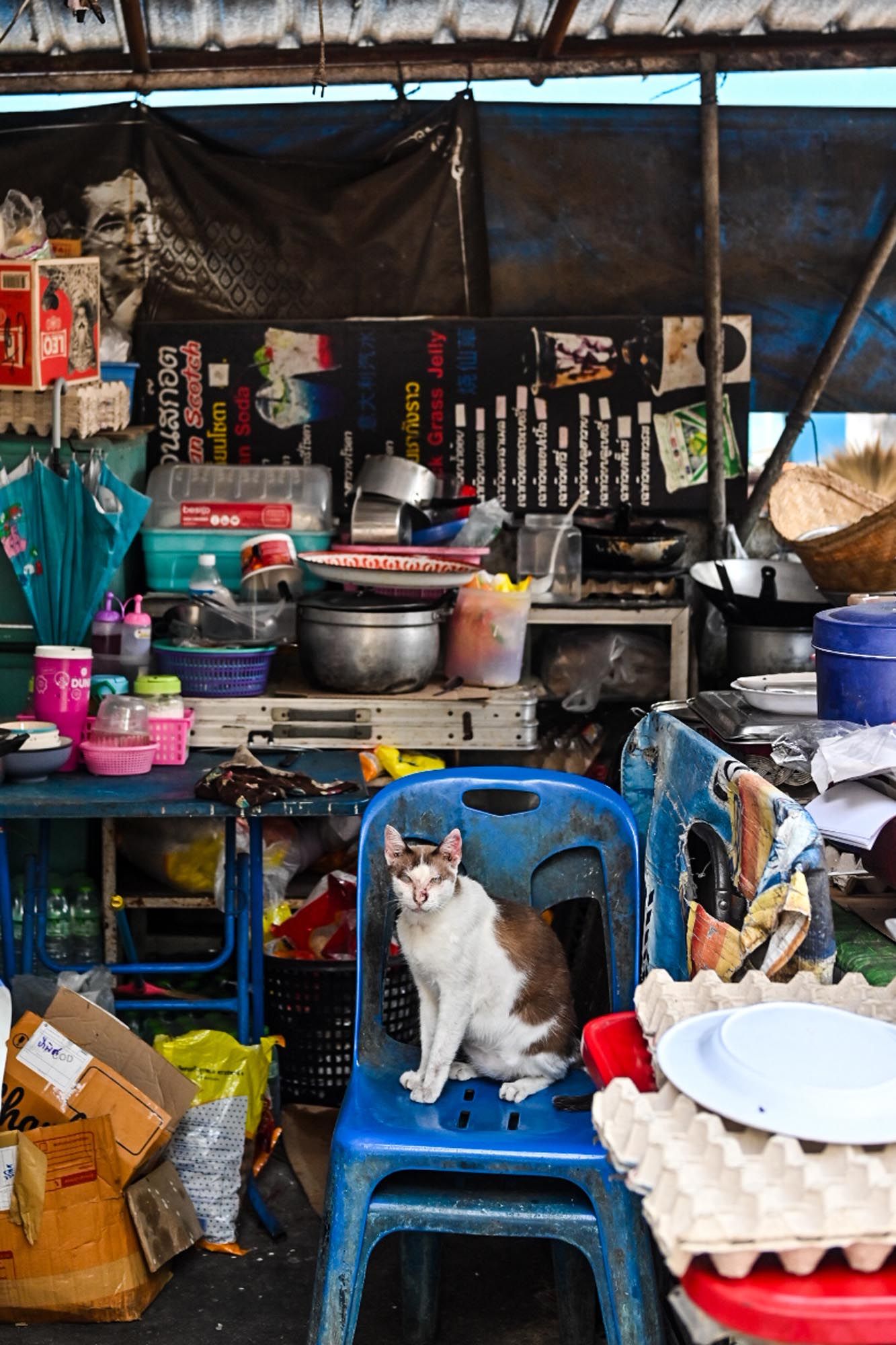 A cluttered workshop space with blue metal shelving and various household items scattered around a cat resting on a cushion.