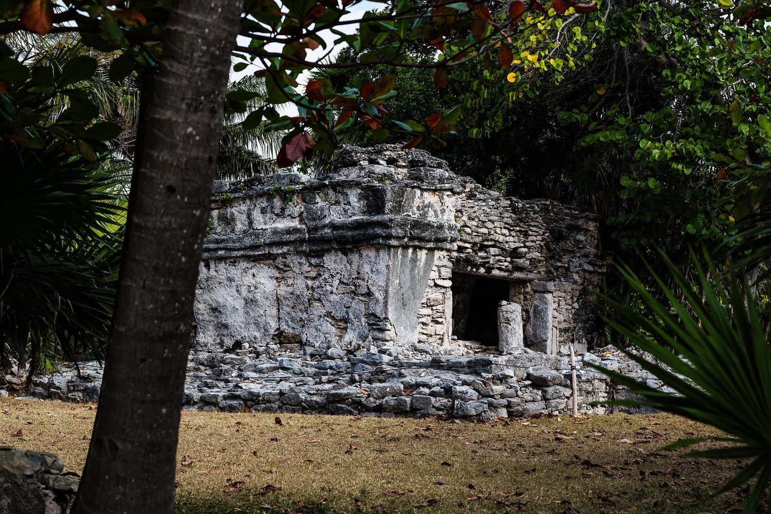 Ancient stone ruins with arched doorways and windows surrounded by lush tropical vegetation and palm trees.