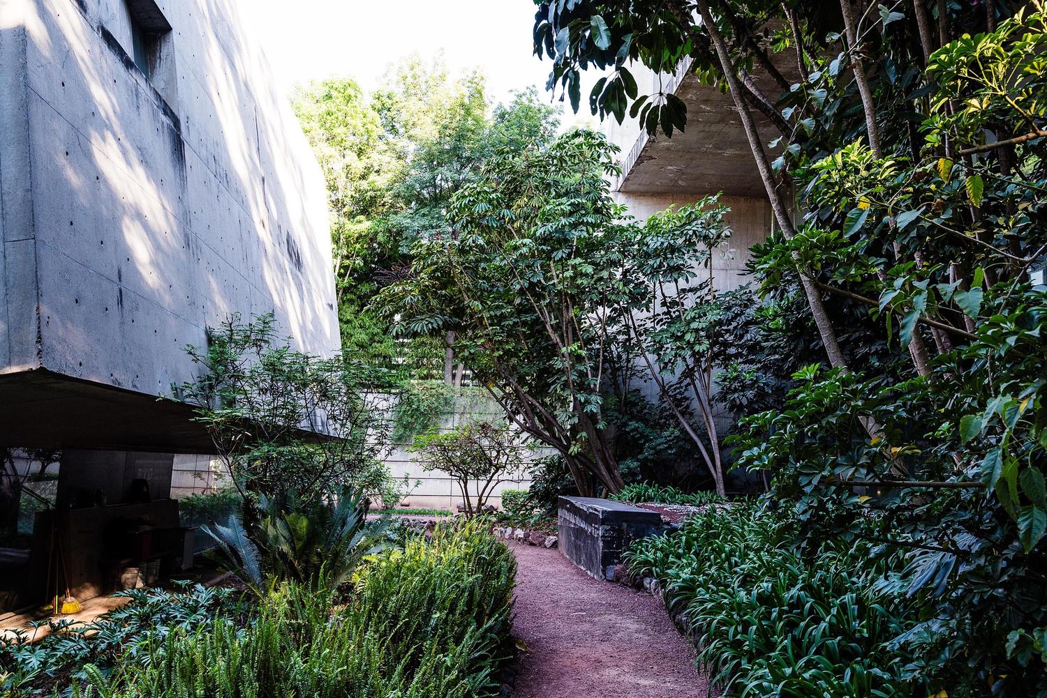 A winding garden path leads between modern concrete architecture and lush green landscaping.
