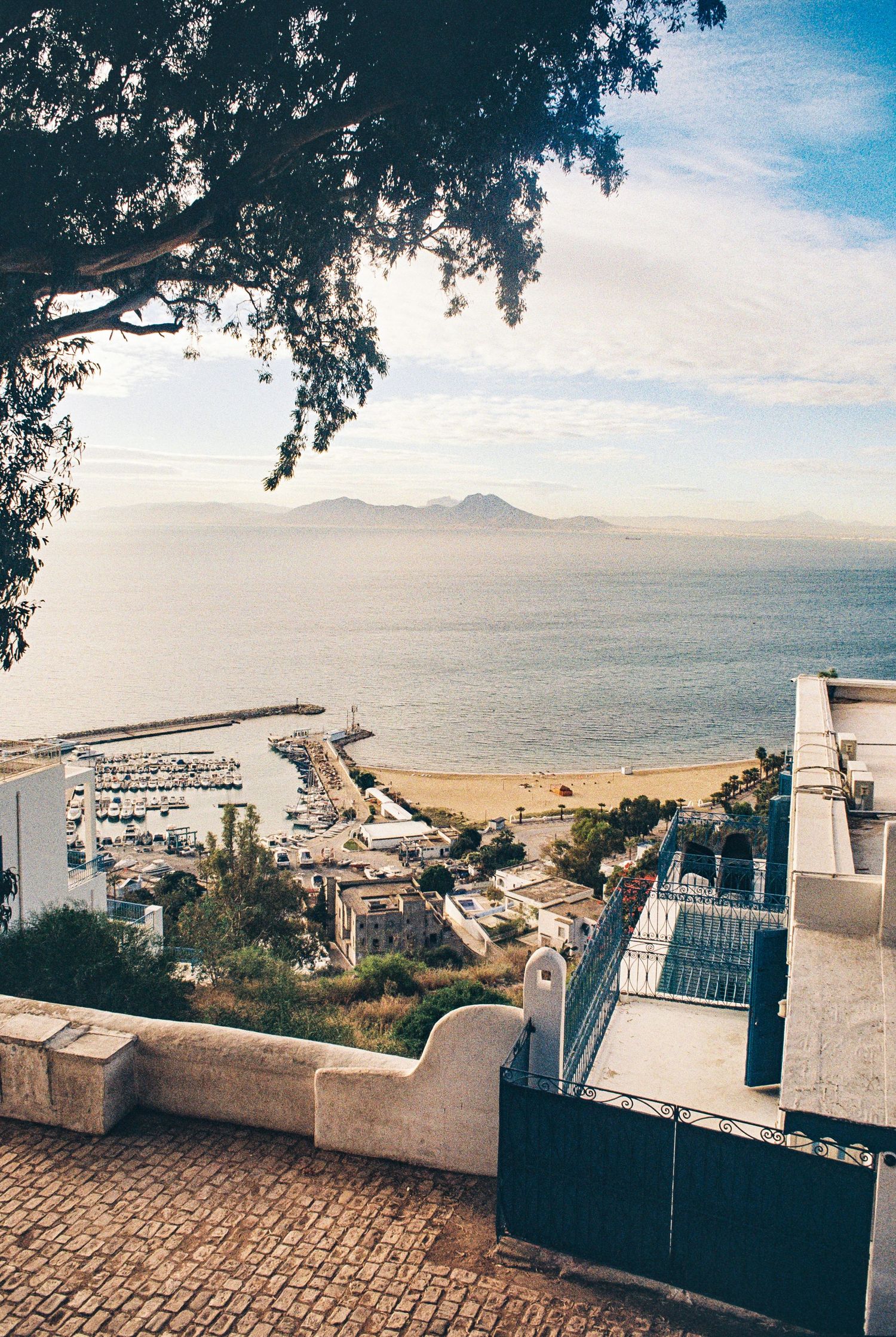 Scenic overlook of Mediterranean marina and coastline from hilltop terrace with stone walls and hanging trees in foreground.