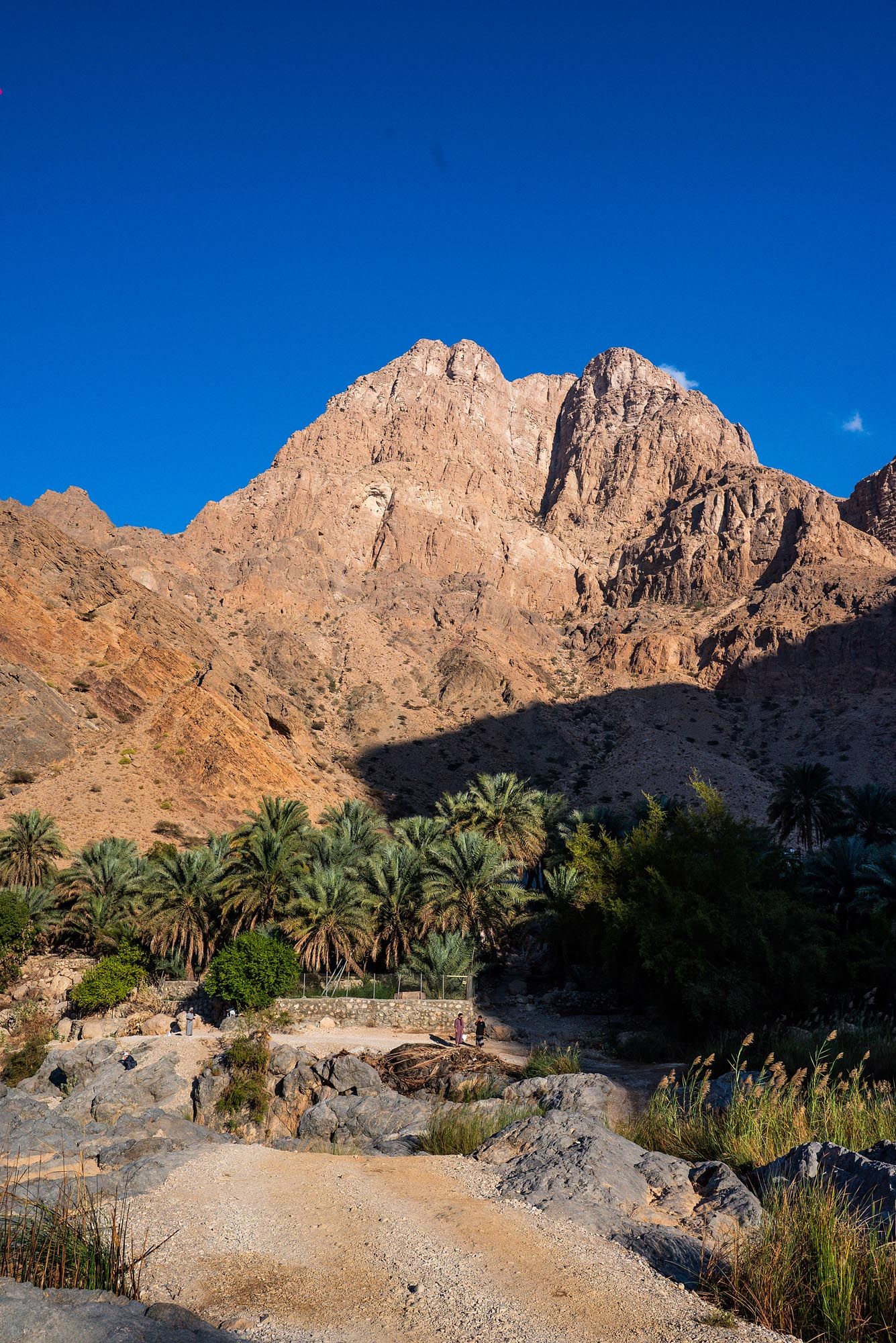 Rocky mountain peaks tower over a desert oasis with palm trees and rugged terrain against a vibrant blue sky. Wadi Al Arbeieen