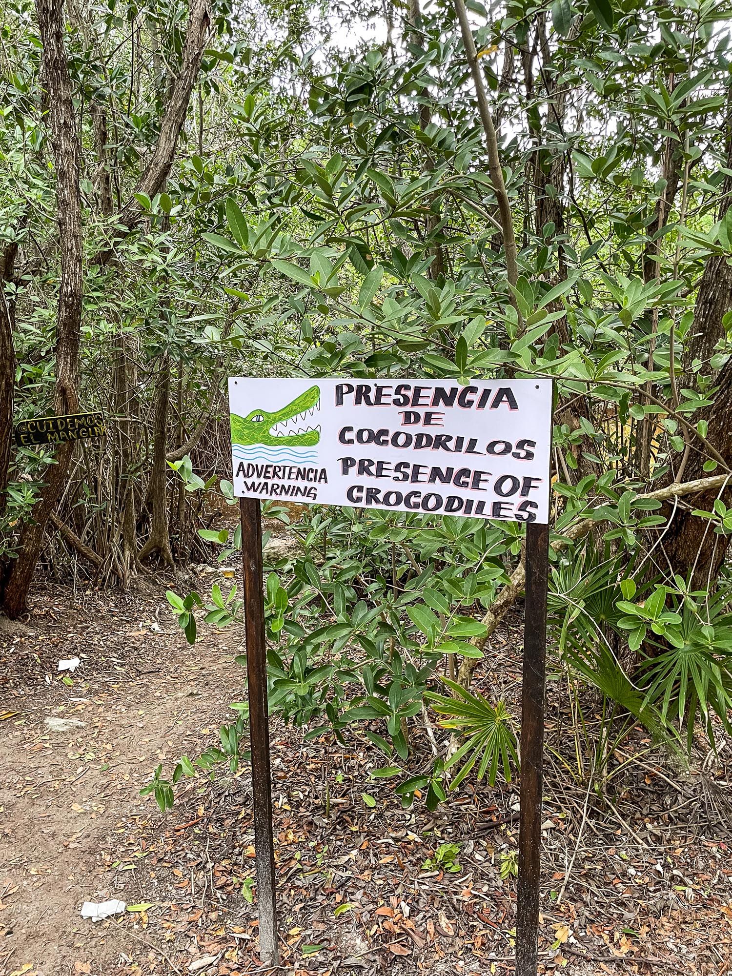 A warning sign in Spanish and English alerts visitors about the presence of crocodiles along a forest trail.