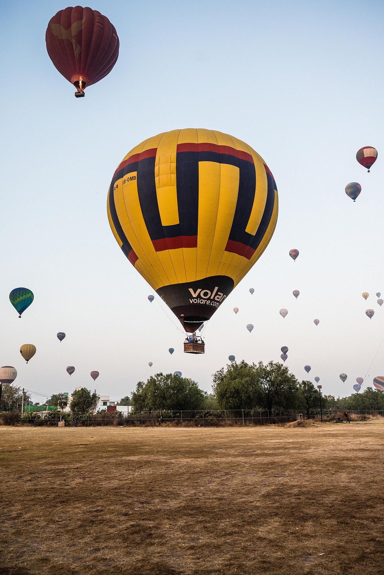 Multiple colorful hot air balloons float above a dry field with a prominent yellow and black balloon in the foreground.