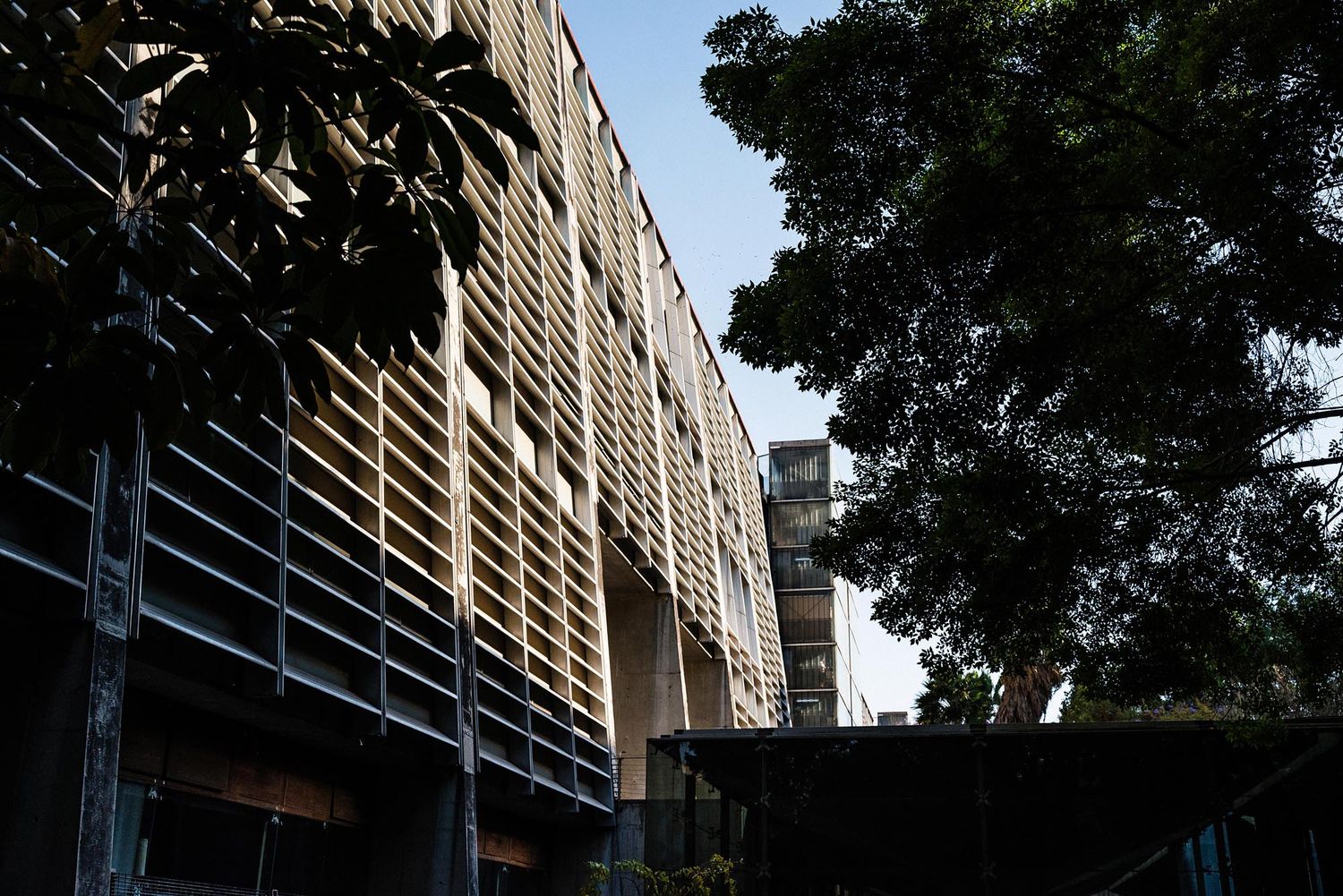 Modern apartment building exterior with wooden slat facade and trees casting shadows in late afternoon light.