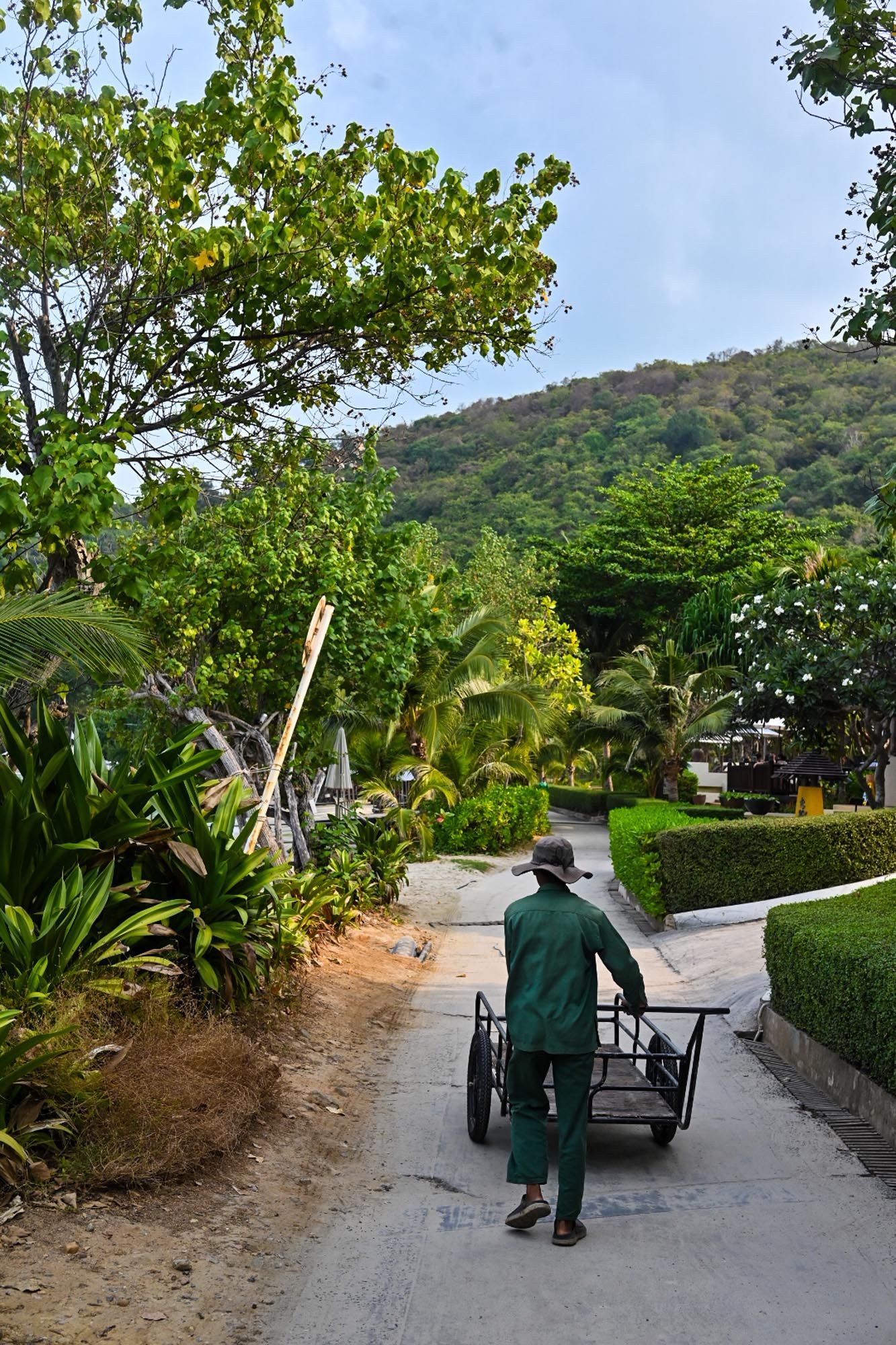A worker pushes a cart along a garden path surrounded by lush tropical vegetation and hills in the background.