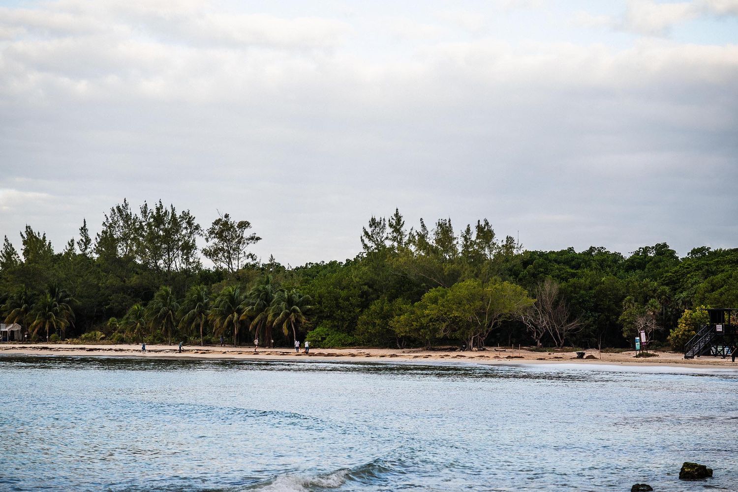 A series of scenic beach and ocean landscape photos showing coastal views with palm trees and sandy shores.