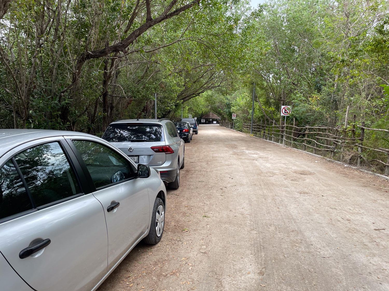 Silver BMW car parked on a dirt trail surrounded by lush green trees and foliage in a wooded area.