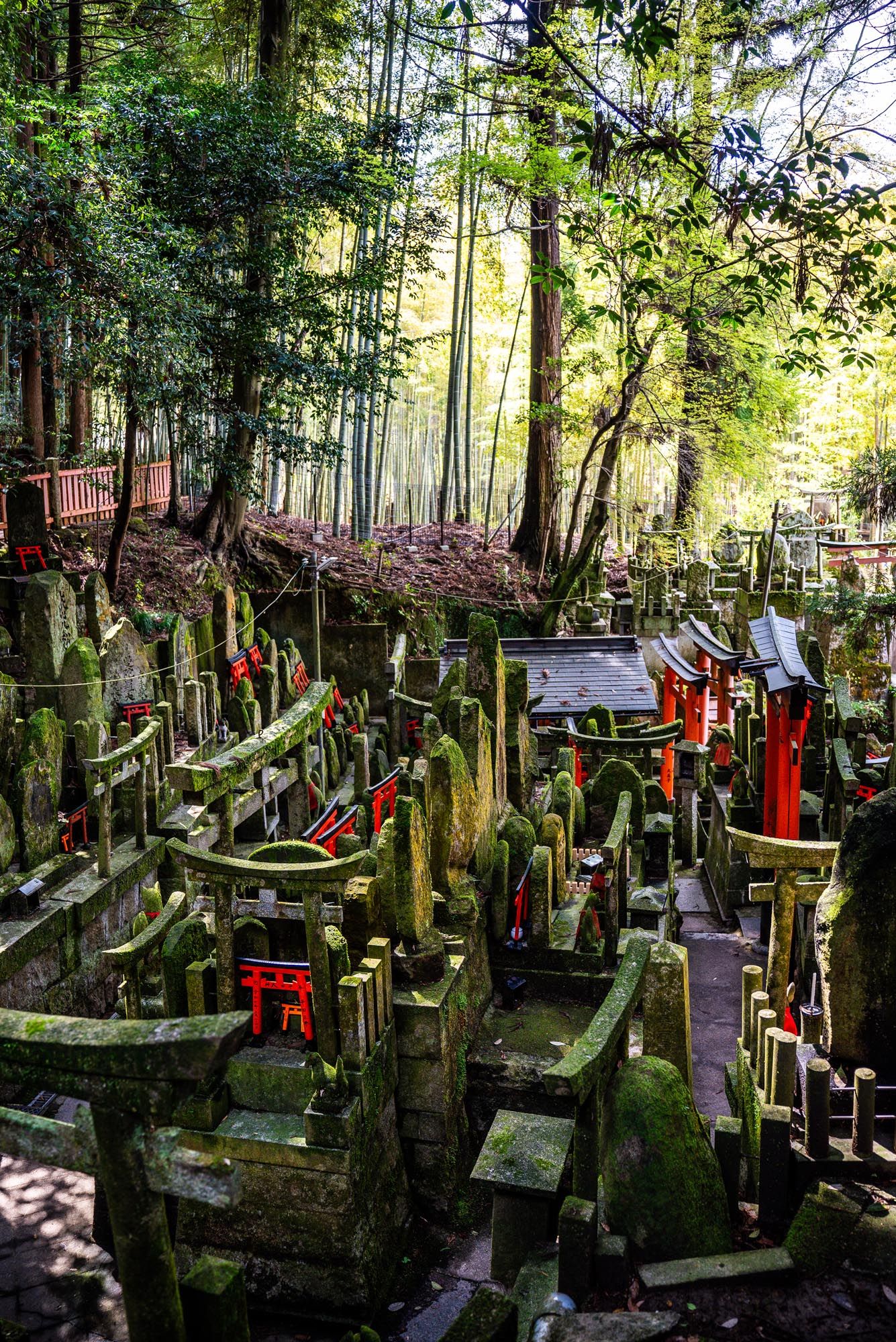 Japanese shrine pathway lined with wooden fox statues and red gates among lush greenery and bamboo forest.