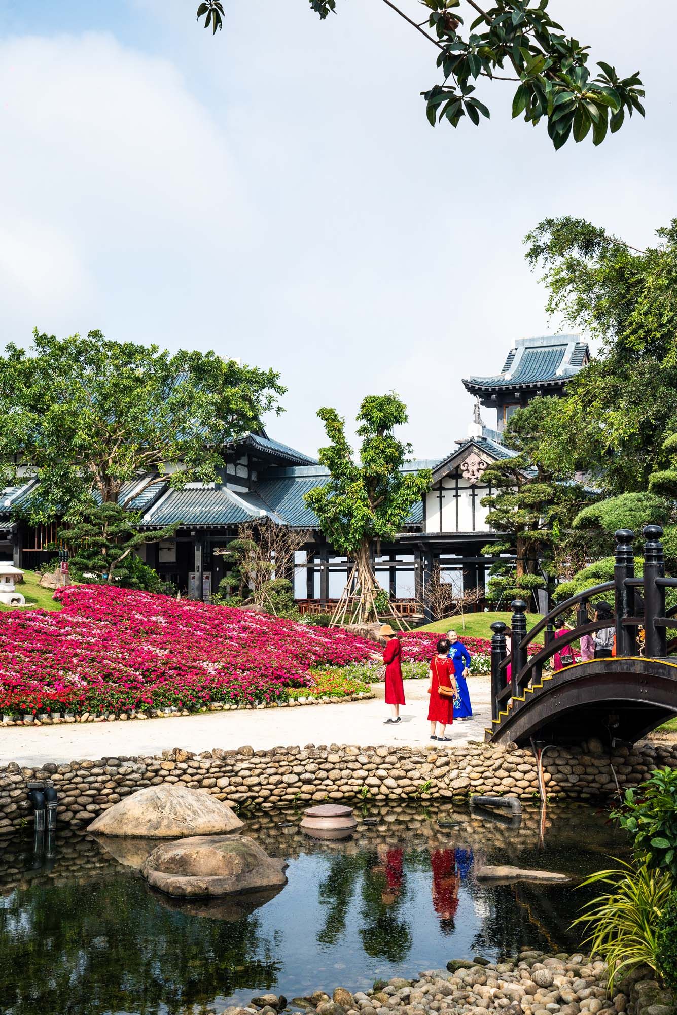 Traditional Chinese garden with stone bridge over pond and vibrant pink azaleas blooming along stone pathways.