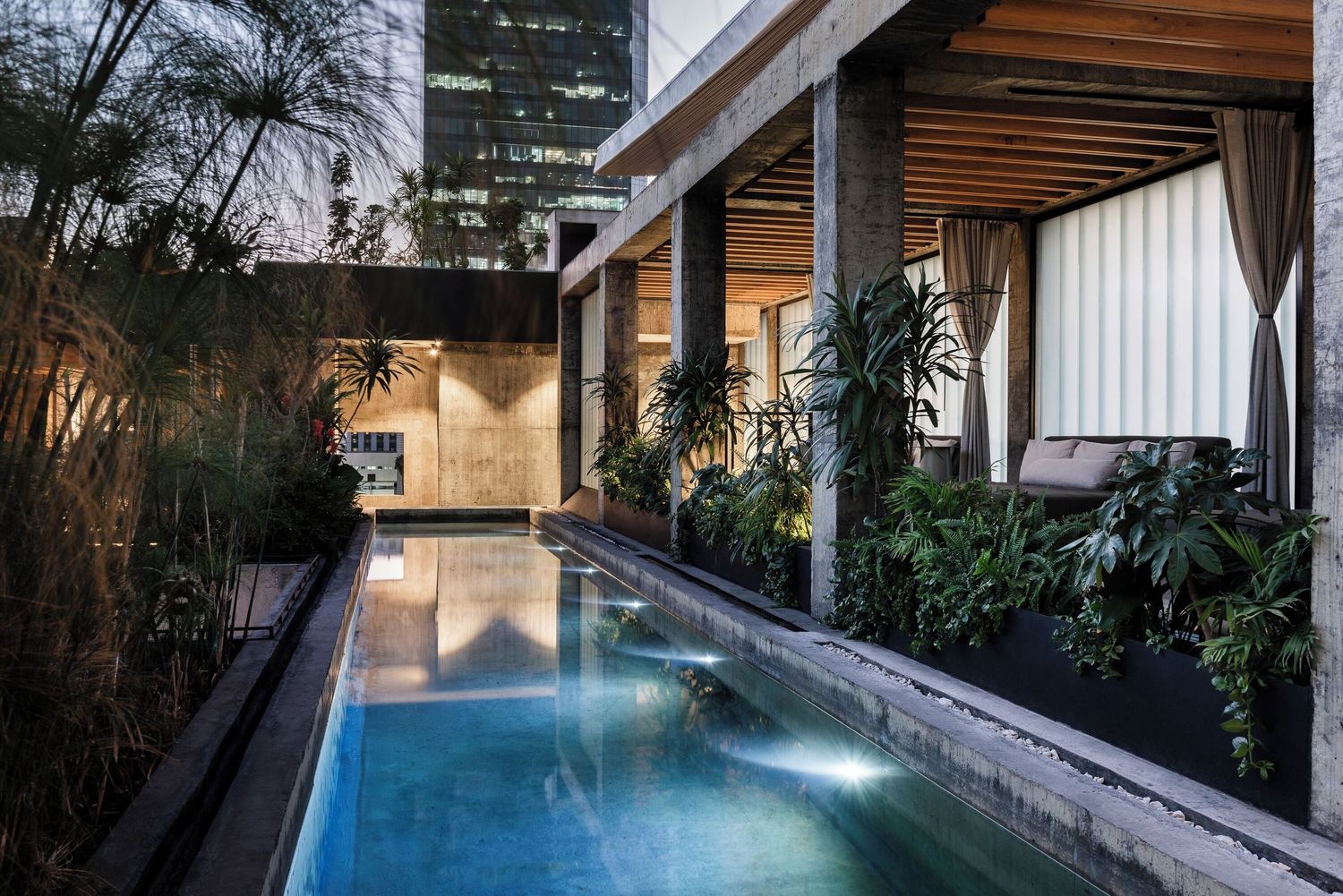Modern luxury home with glass walls features a sleek lap pool surrounded by lush landscaping and wood accents.
