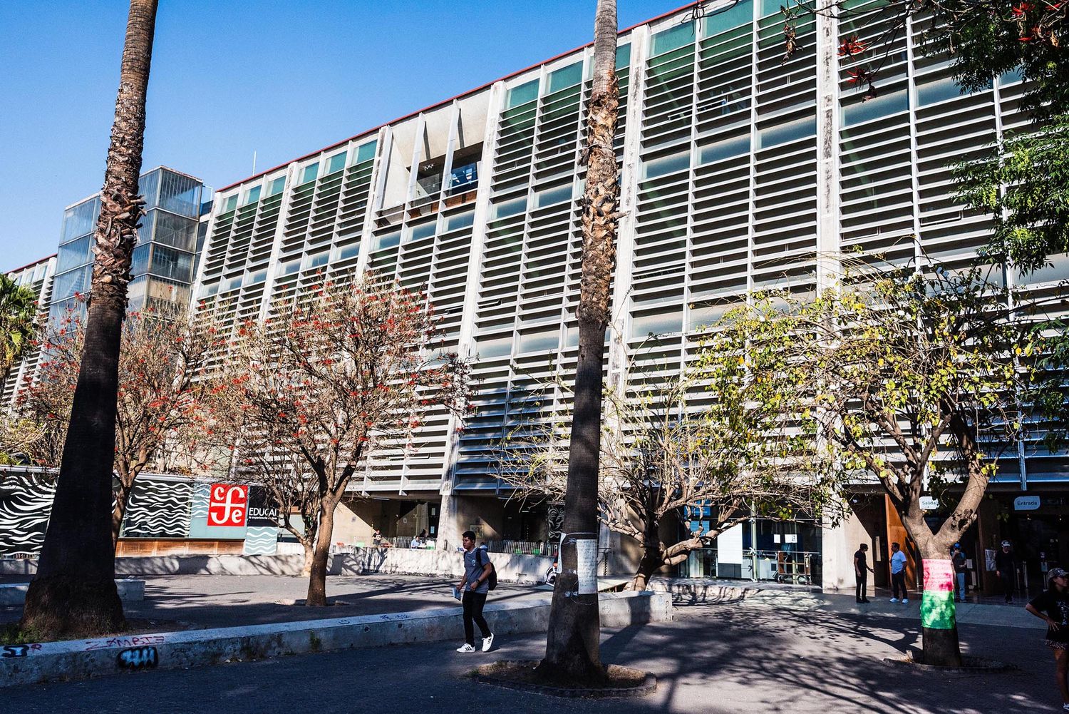 Modern glass and steel building exterior with palm trees and walkway on a sunny day at a university campus.