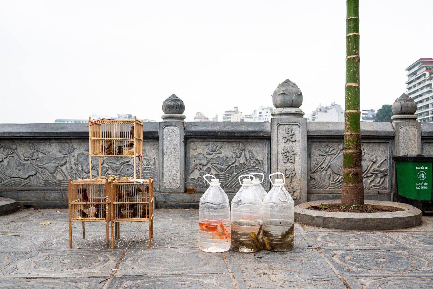Traditional Chinese stone garden benches and tables arranged along a path with bamboo trees and stone wall decorations.