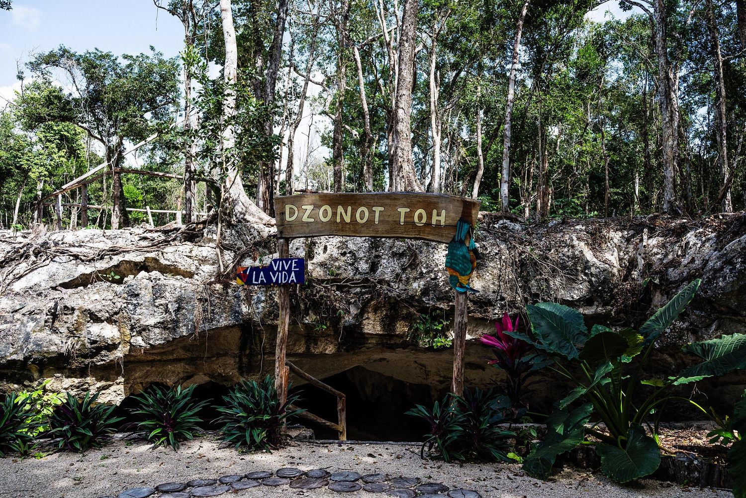 A series of panoramic views showing a dense forest with limestone caves and rock formations in a natural setting.