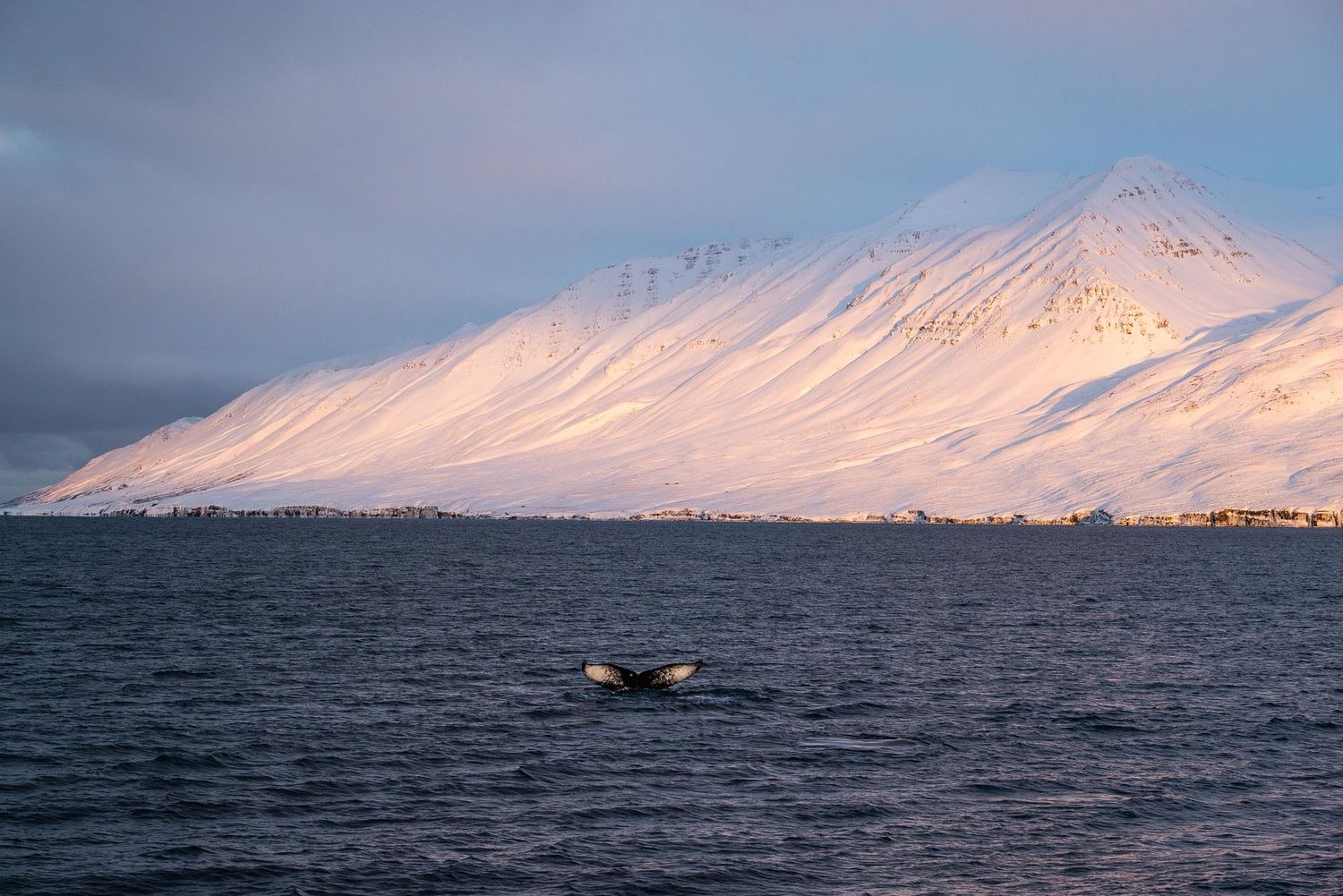A scenic view of snowy mountains reflecting on calm waters with a small boat silhouetted against the landscape.