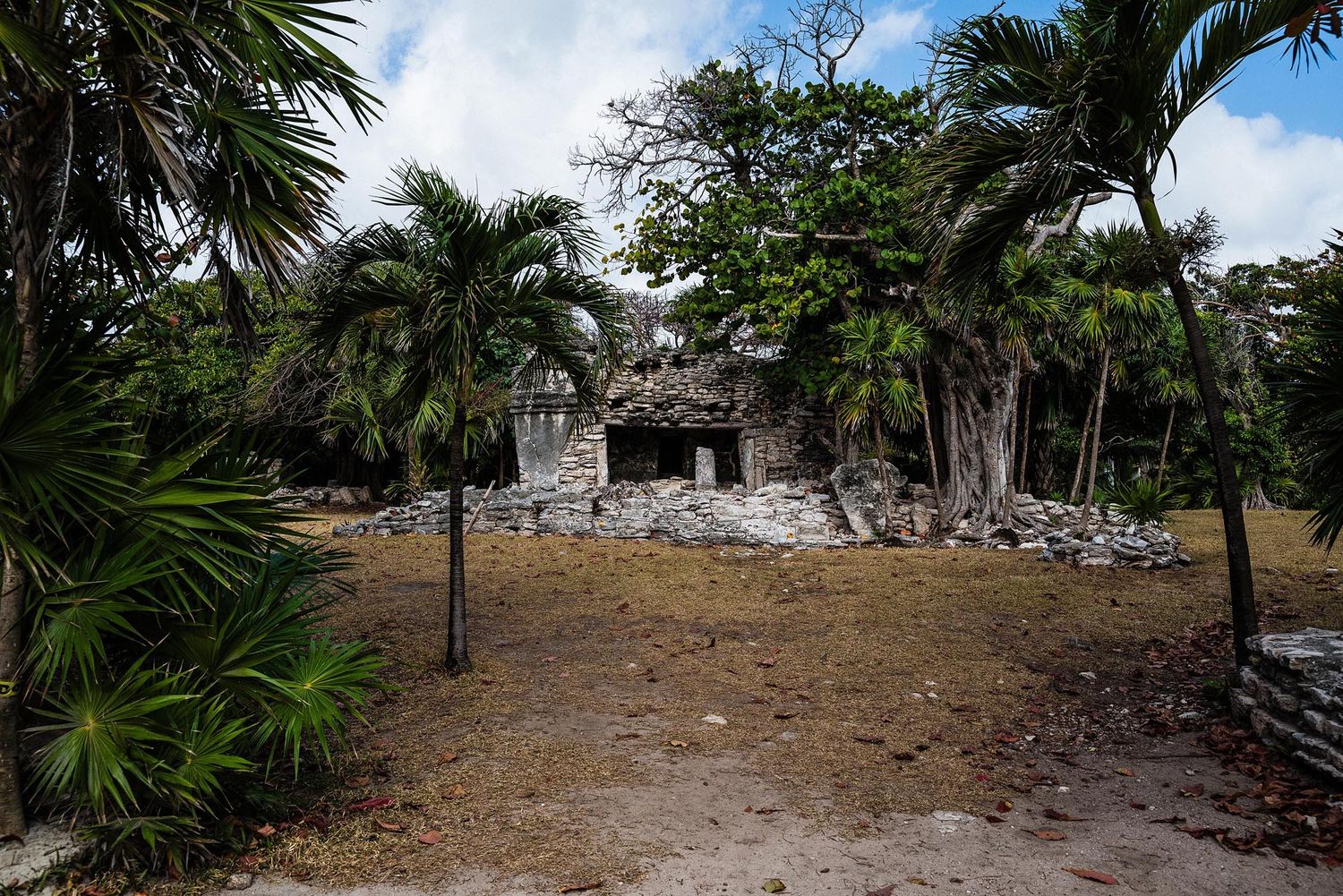 A panoramic view of a tropical landscape with palm trees and stone ruins along a sandy path.
