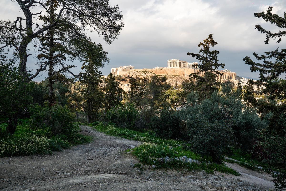 A panoramic view of a winding dirt path through a wooded area with buildings visible in the distance.