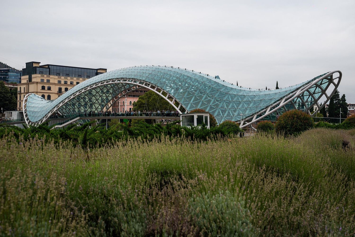 Modern glass and steel bridge structure with curved architecture spans across green landscape in urban setting.