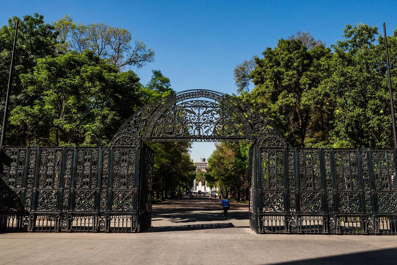 Ornate black iron gates with an arched entrance lead to a tree-lined pathway on a sunny day.