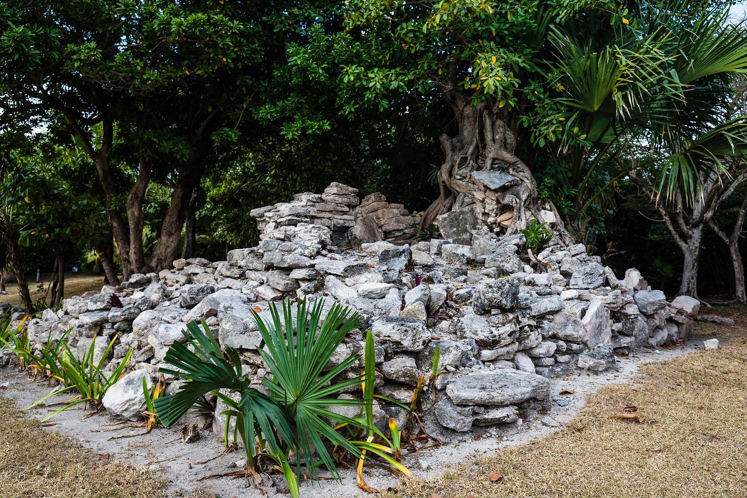 A winding stone path leads through a lush tropical garden with limestone rock formations and native plants.