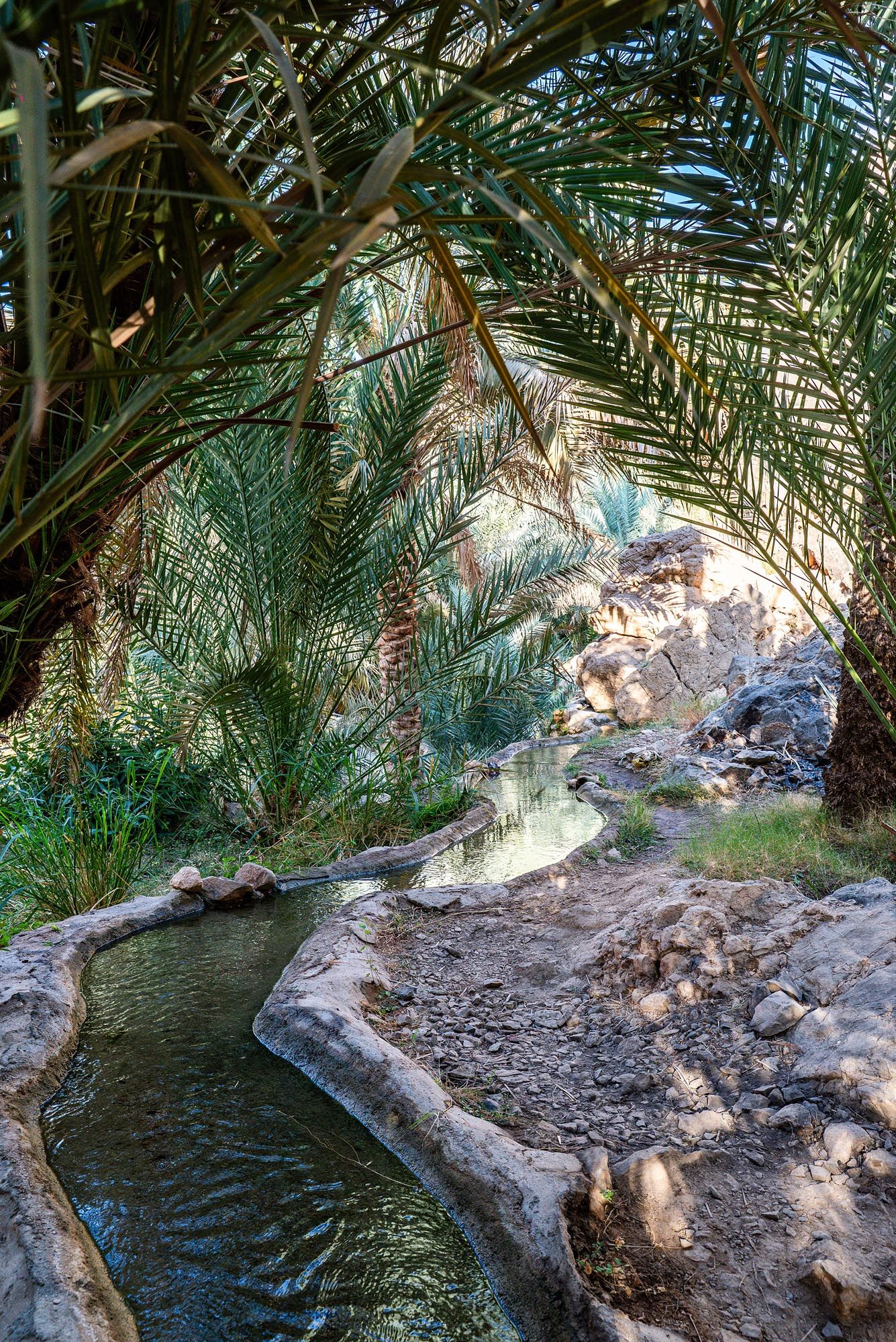 A series of connected images showing a small stream flowing through palm trees and rocks in a desert oasis. Wadi Al Arbeieen