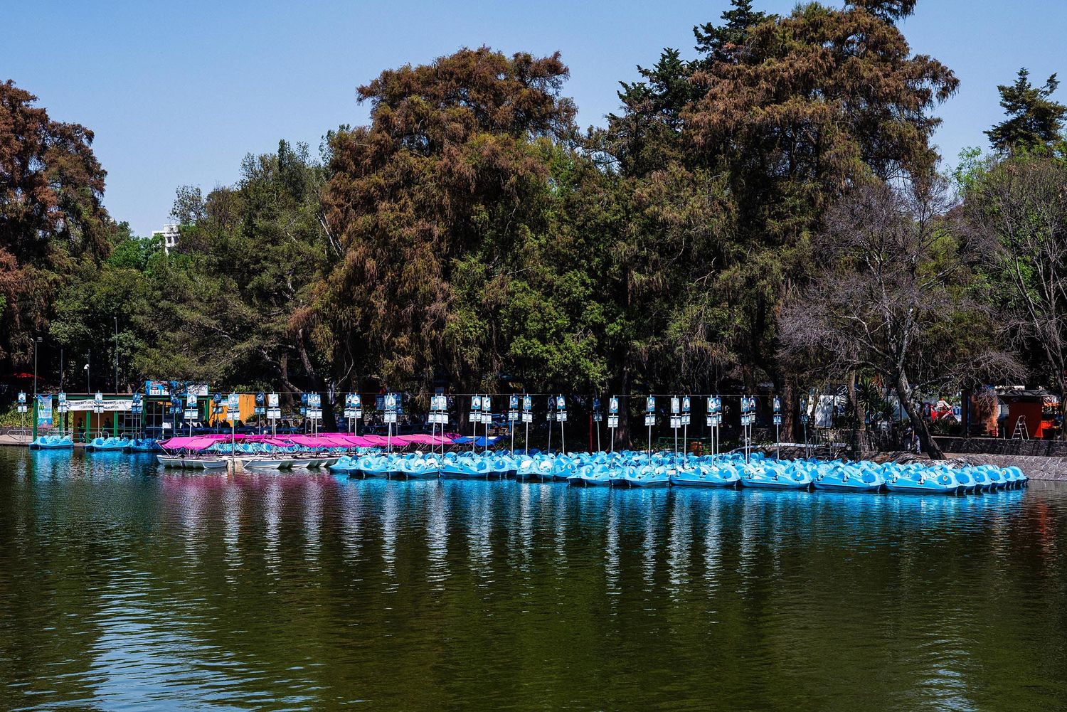 A panoramic view of a lake surrounded by autumn trees with a row of colorful beach cabanas along the shoreline.