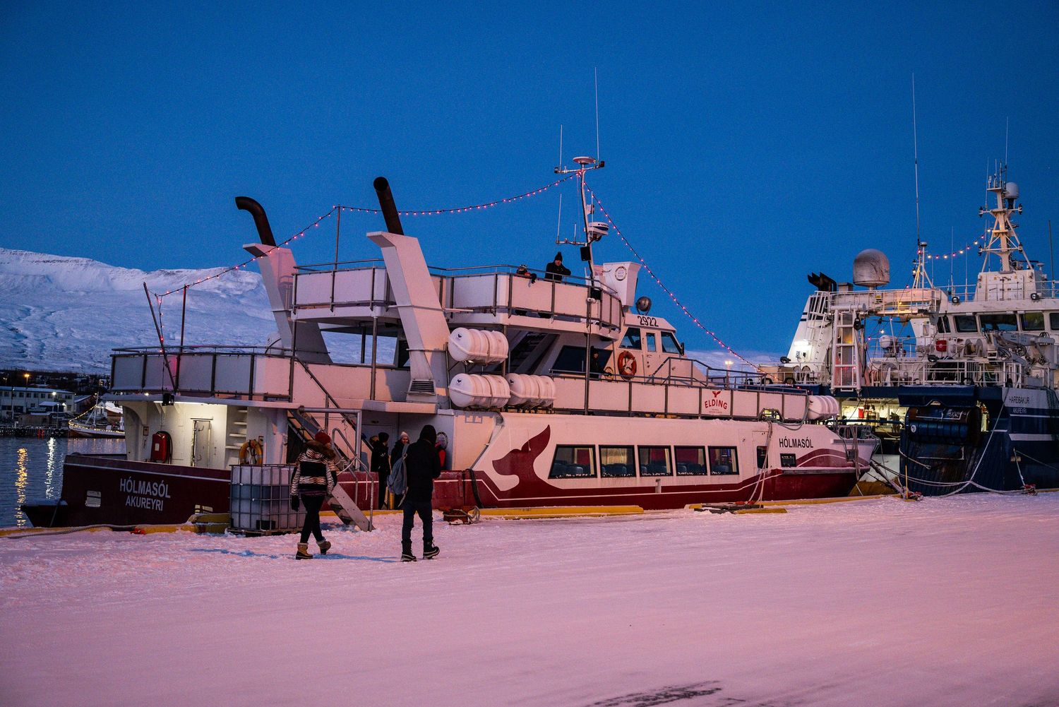Discover Akureyri, Iceland’s charming northern capital, with stunning fjords, waterfalls, and top things to do in this complete guide.