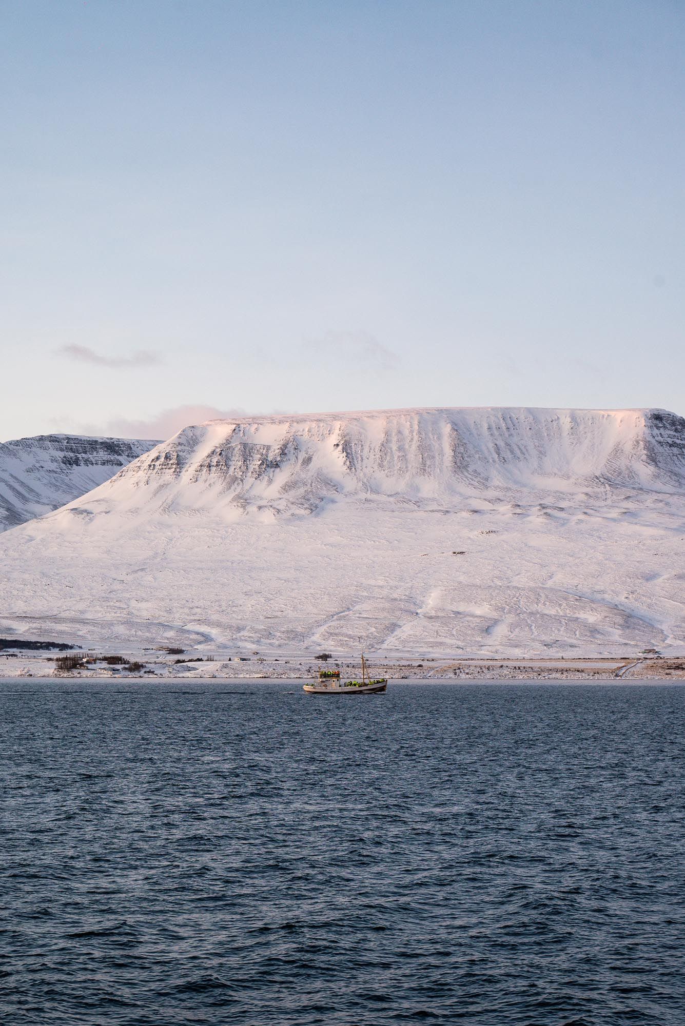 Snow-covered mountains rise dramatically above dark ocean waters along a rugged arctic coastline in winter.