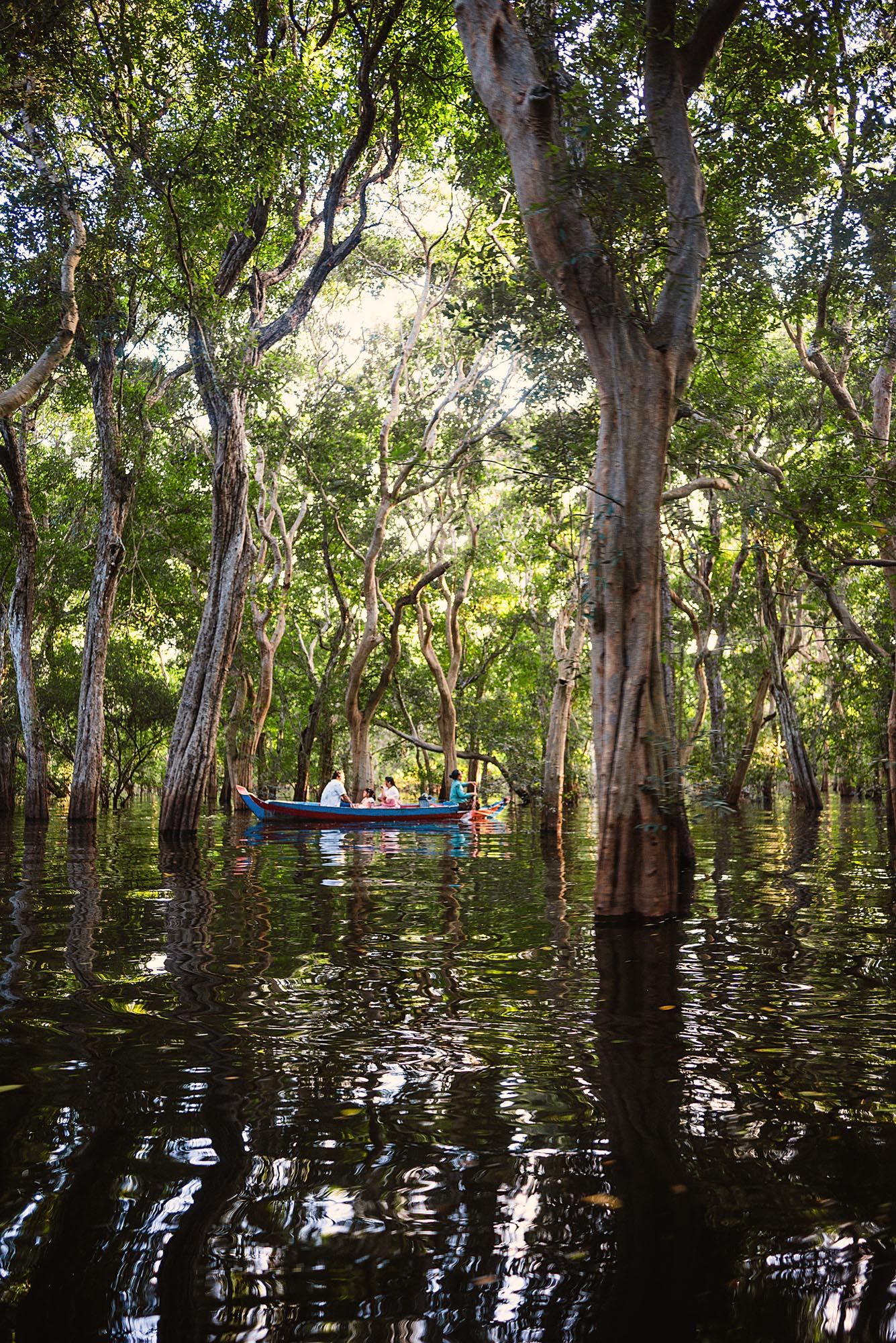 A small boat navigates through a flooded forest with sunlight filtering through the dense canopy of trees.