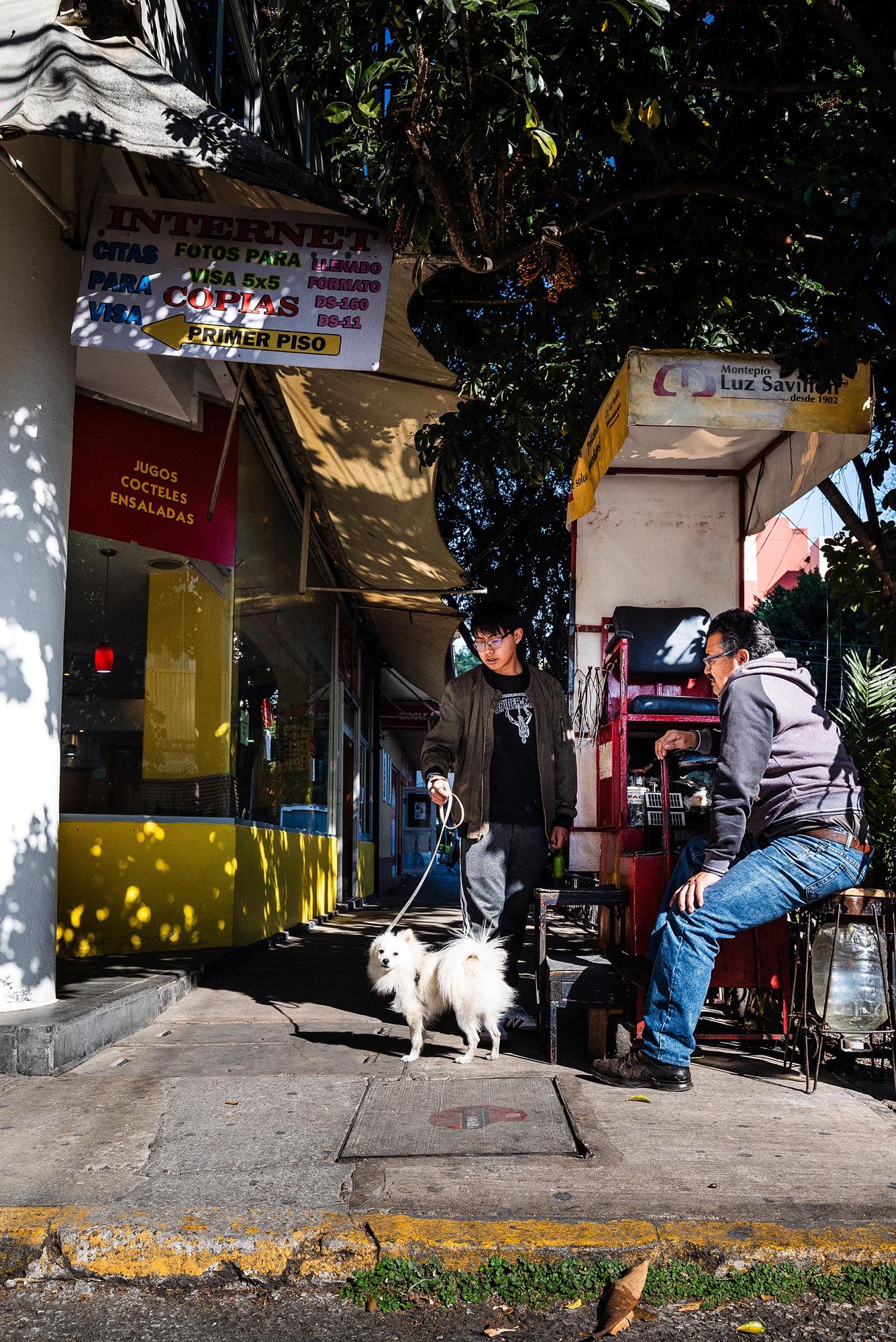 A dog and person walking past a row of small street shops and storefronts on a sunny day.
