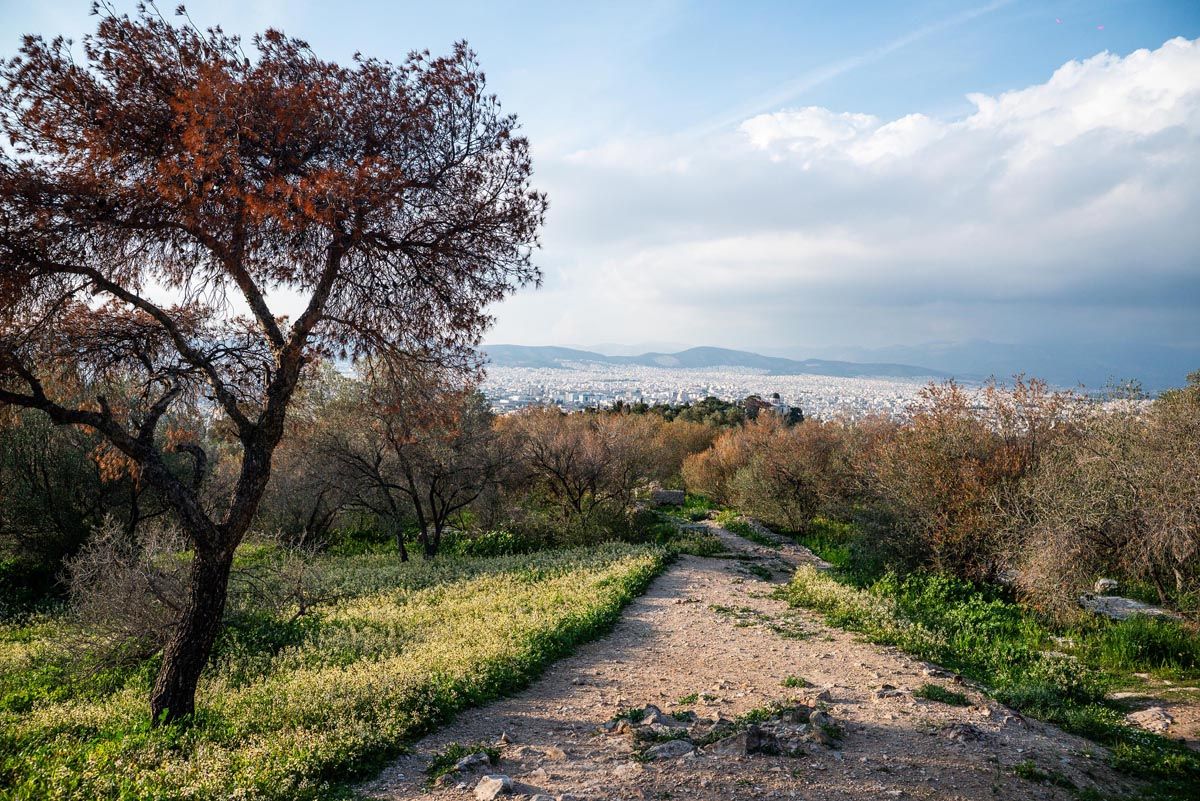 A panoramic series of nature trail photos showing winding paths through autumn trees and grassy hillsides.