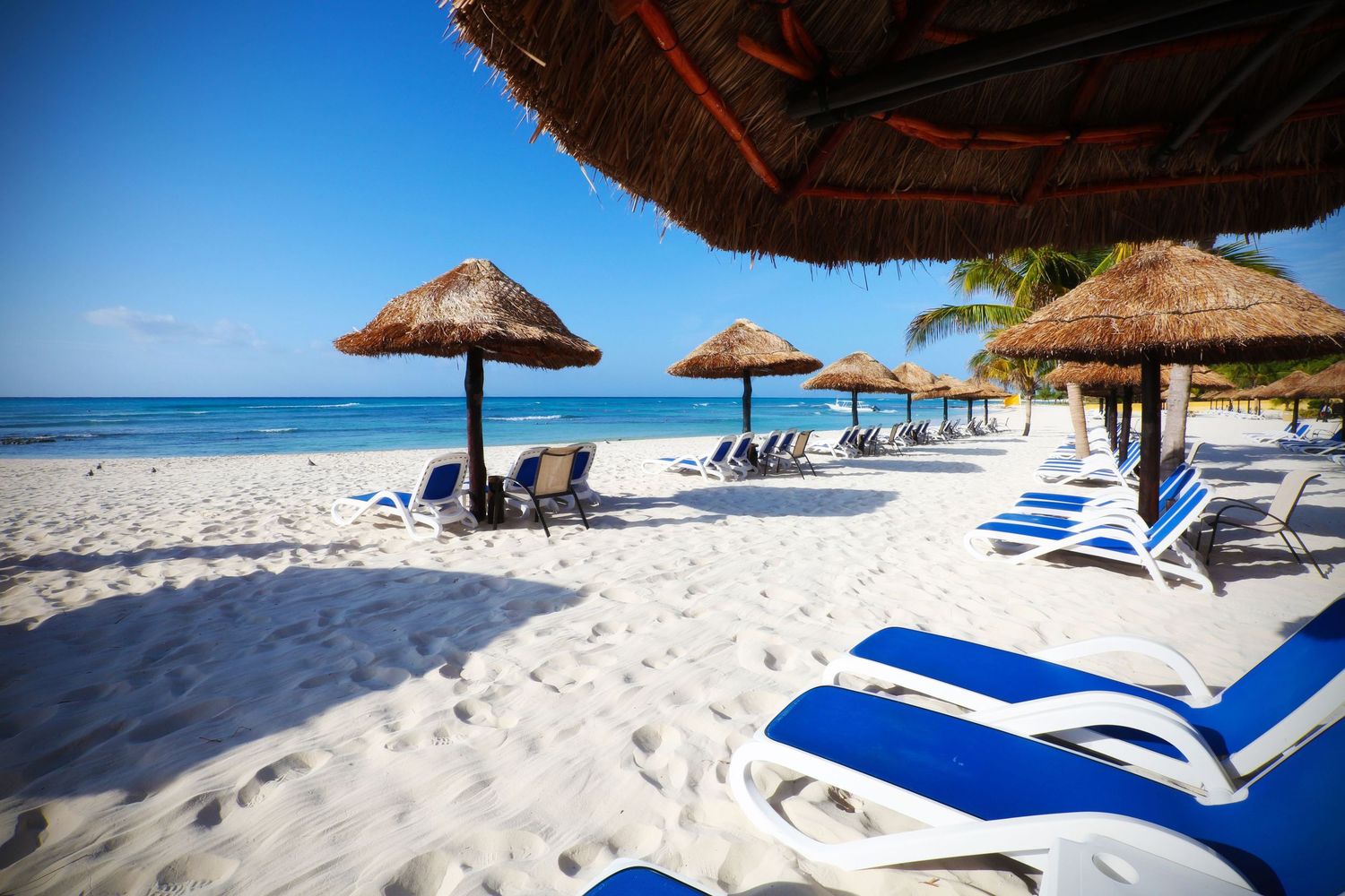 Beach lounge chairs with thatched umbrellas line the white sandy shoreline of a tropical paradise.